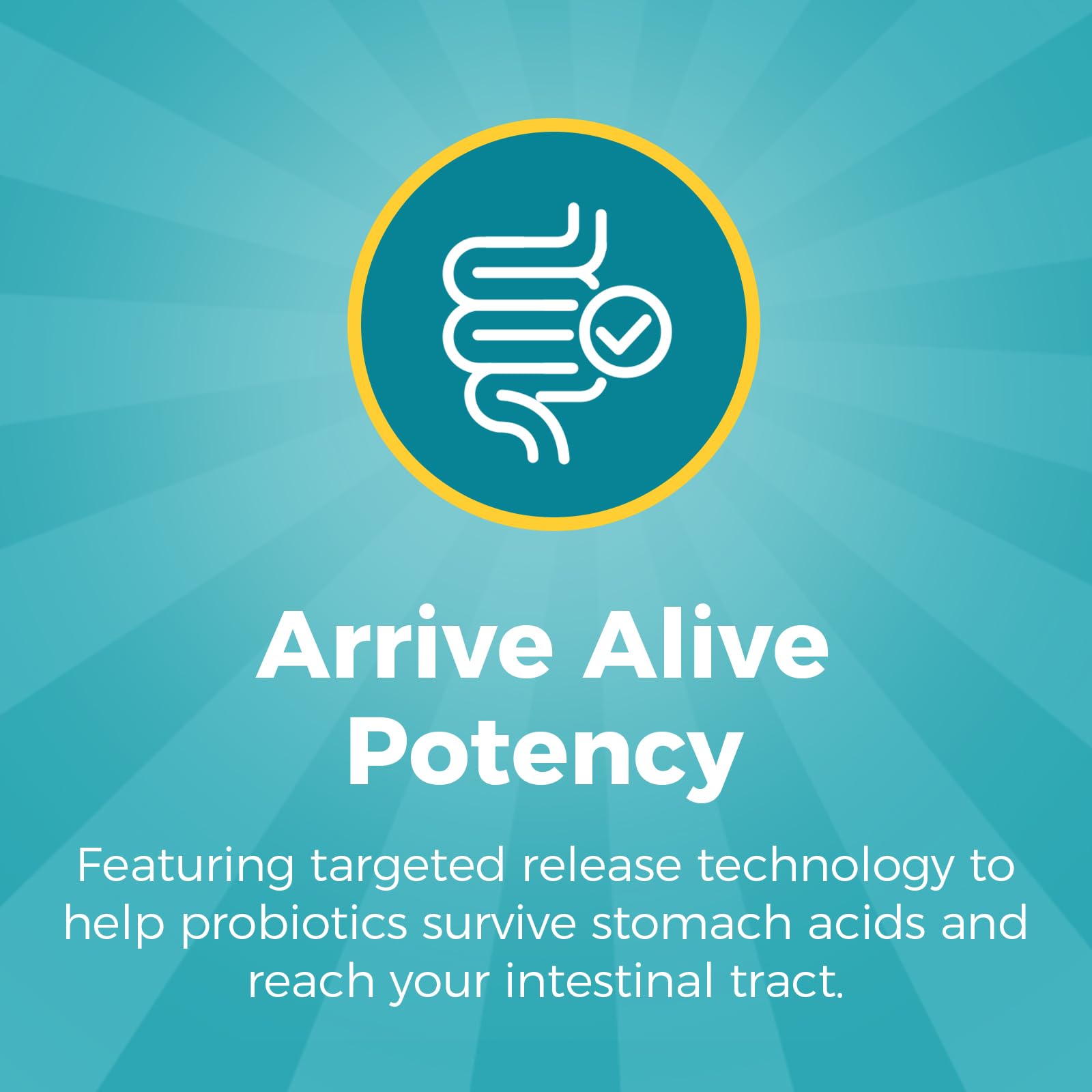 NewRhythm Probiotics 120 Billion CFU 36 Strains, 3-in-1 Probiotics with Prebiotics & Enzymes, Probioticos for Women & Men, Vegan Targeted Release Supplement, 60ct