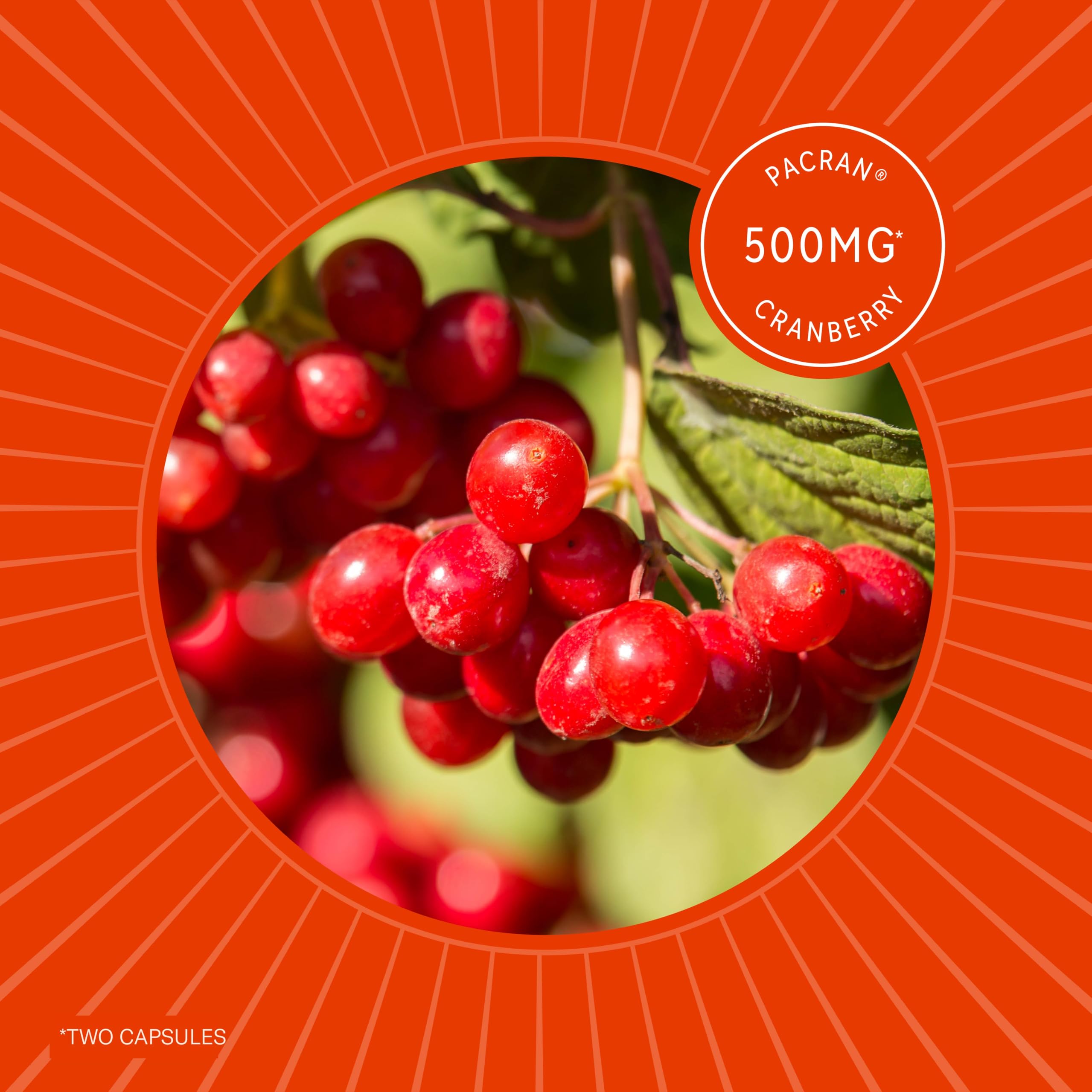 Premium Kidney Cleanse Supplement – Powerful Kidney Support Formula With Cranberry and Astragalus- Helps Support Healthy Kidneys & Urinary Tract Support - Kidney Cleanse Detox & Repair – 60 Capsules