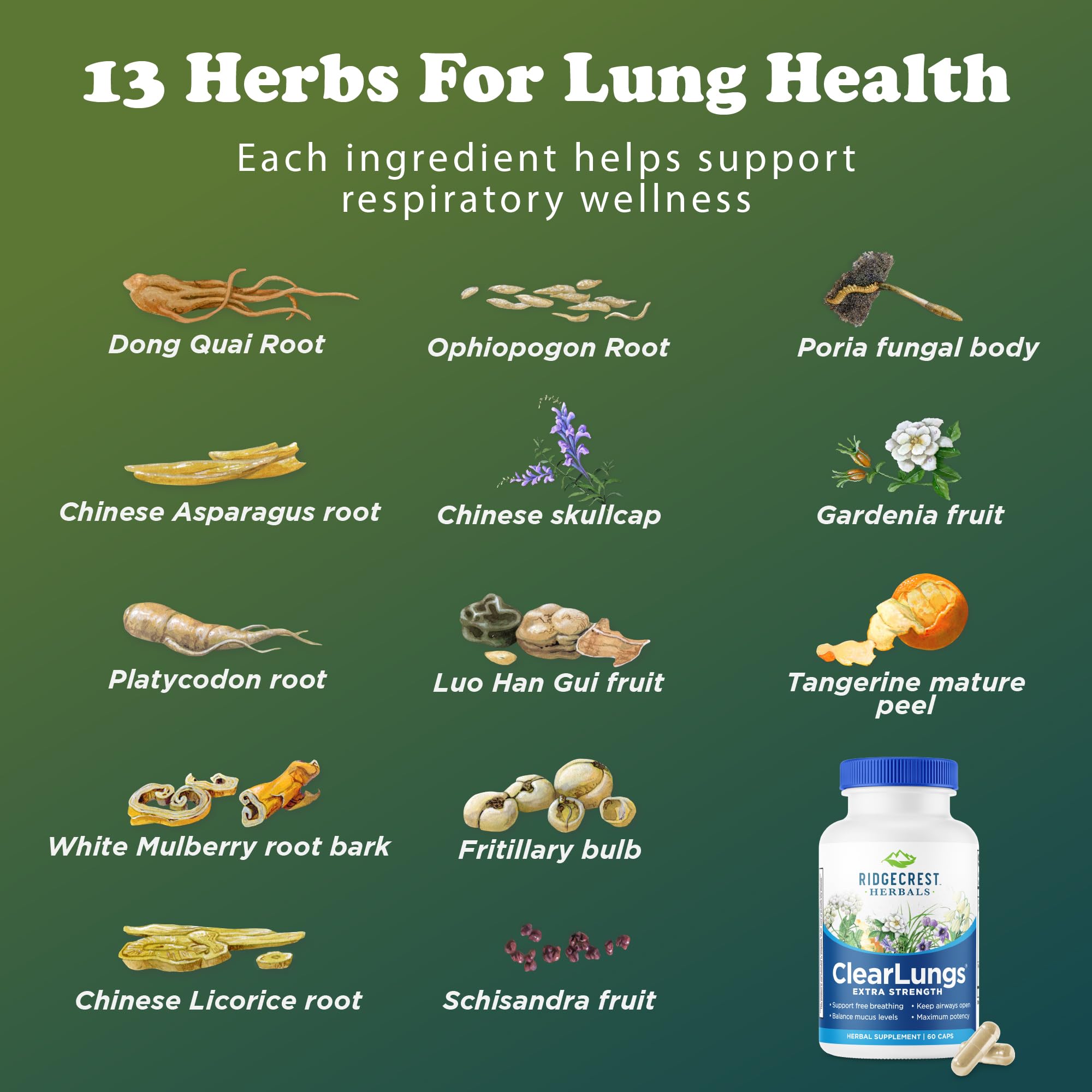 RidgeCrest Herbals ClearLungs Extra Strength, Daily Health Supplement, Natural Lung and Nasal Wellness Formula (60 Vegan Caps, 30 Serv)