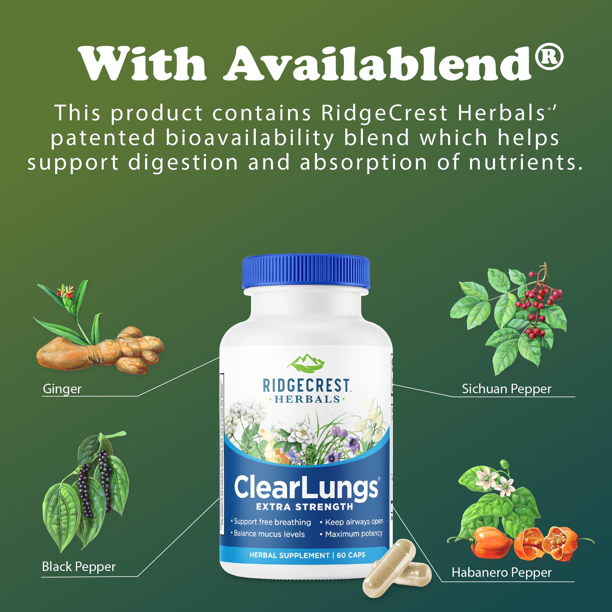 RidgeCrest Herbals ClearLungs Extra Strength, Daily Health Supplement, Natural Lung and Nasal Wellness Formula (60 Vegan Caps, 30 Serv)