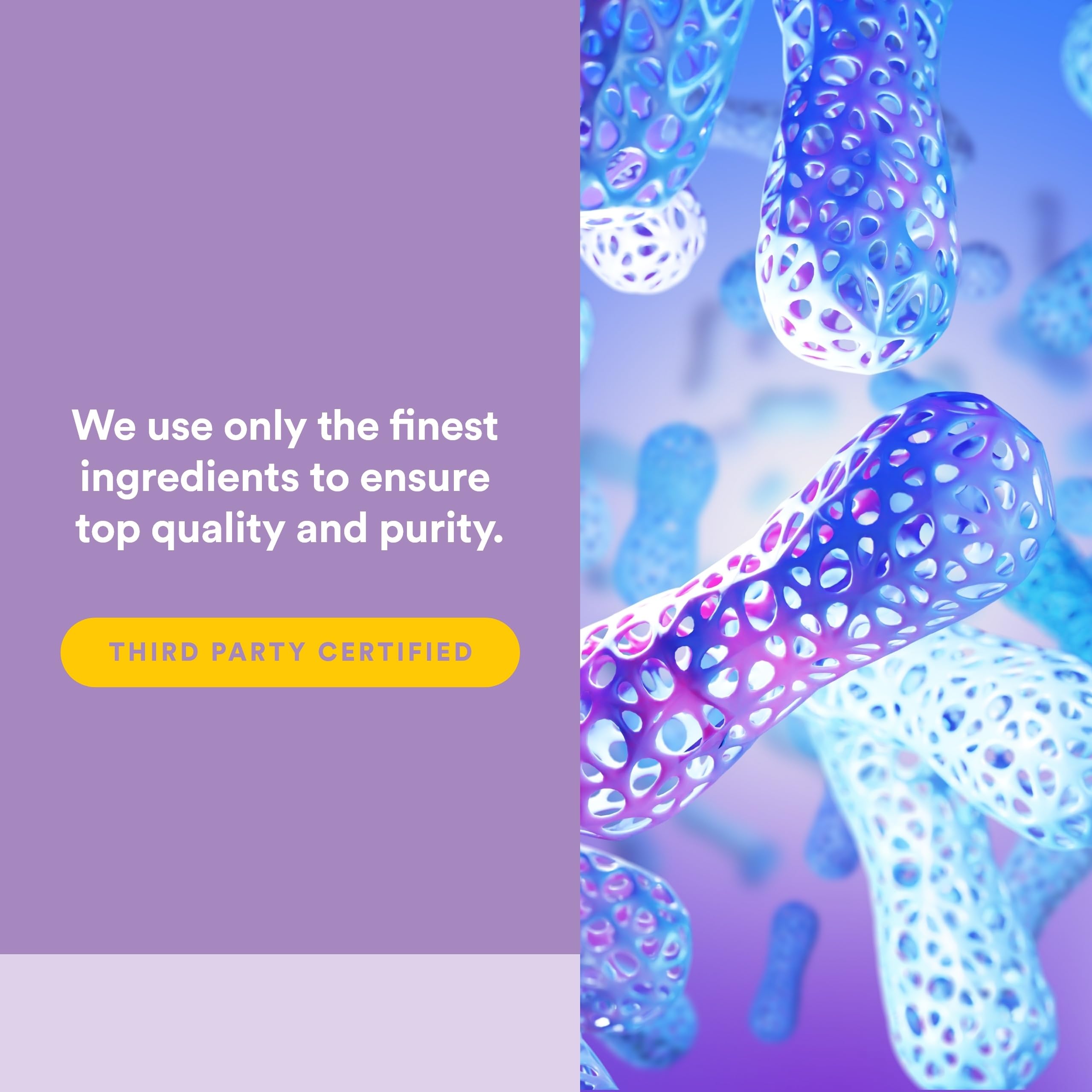 Natural Factors Suntheanine L-Theanine 100 mg - Health Supplement for Calm Outlook - L-Theanine Supplement Supports Relaxing Sleep & Aids Against Drowsiness - 120 Chewable Tablets (60 Servings)