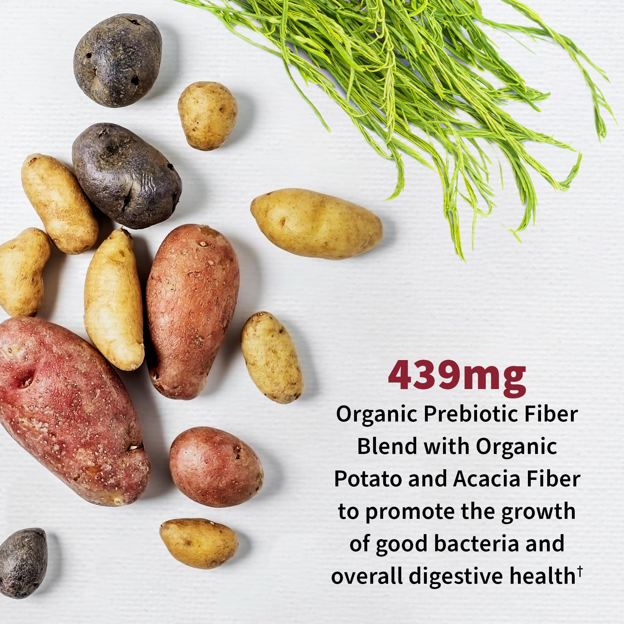 Garden of Life Dr. Formulated Probiotics Urinary Tract+ - 50 Billion CFU - Supports Digestive, Immune & Urinary Tract Health - Shelf Stable - 60 Vegetarian Capsules