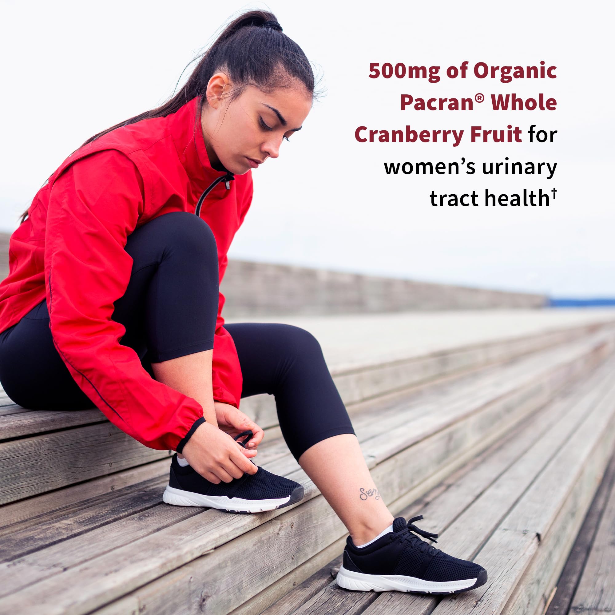 Garden of Life Dr. Formulated Probiotics Urinary Tract+ - 50 Billion CFU - Supports Digestive, Immune & Urinary Tract Health - Shelf Stable - 60 Vegetarian Capsules