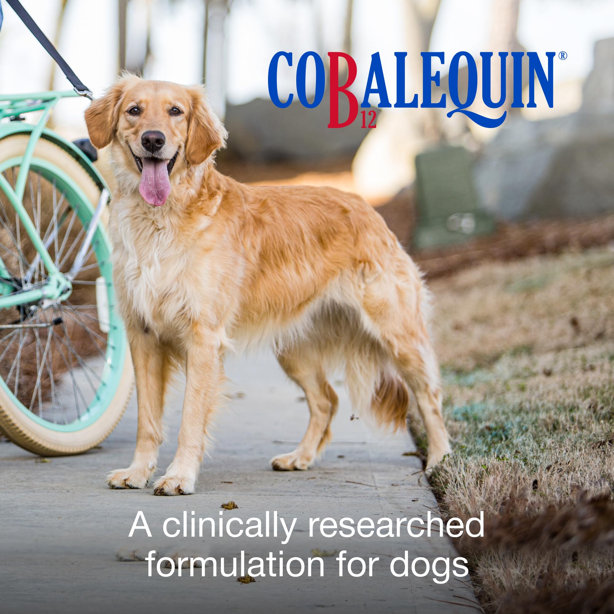 Nutramax Laboratories Cobalequin B12 Supplement for Medium to Large Dogs, 45 Chewable Tablets, Hydrolyzed Chicken, 2.08 ounces