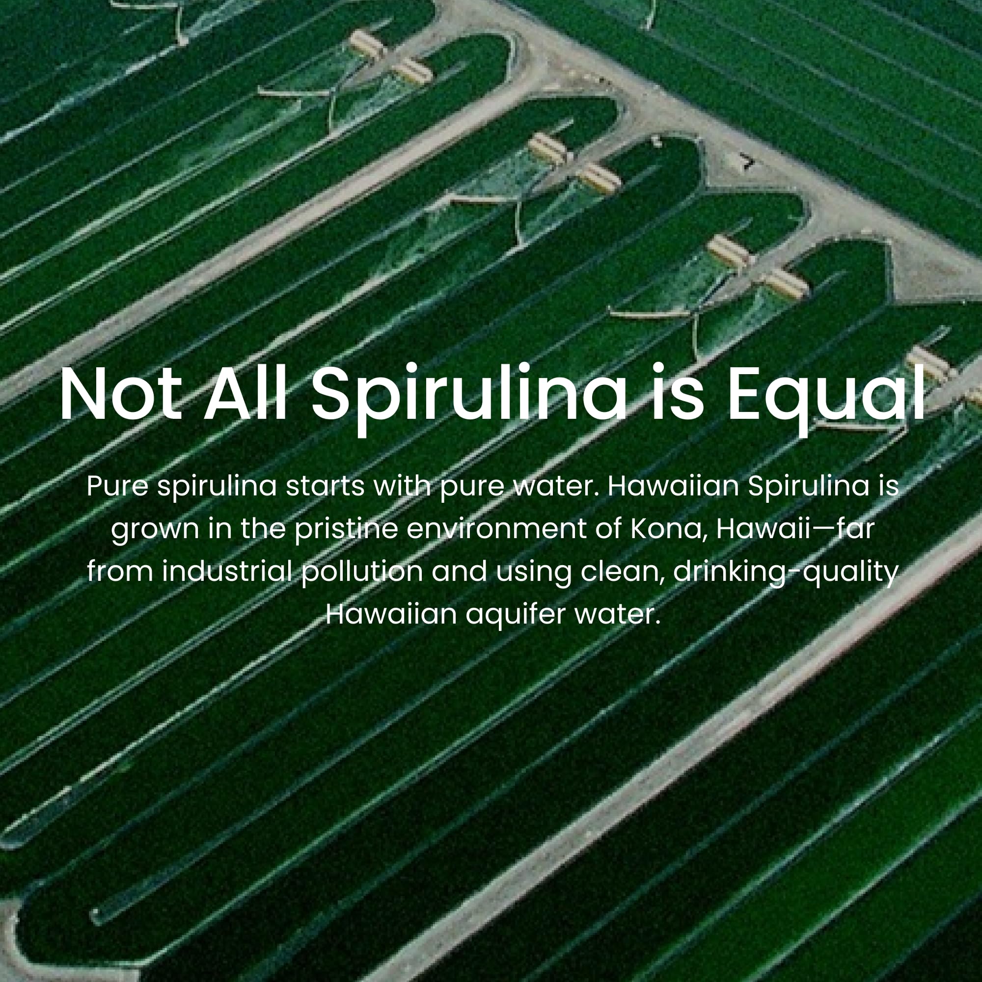 Nutrex Hawaii Pure Hawaiian Spirulina – Vegan Superfood, 500 mg Tablets, Farm Grown in Kona, Non-GMO, Immune Support & Cellular Energy, 200 Count