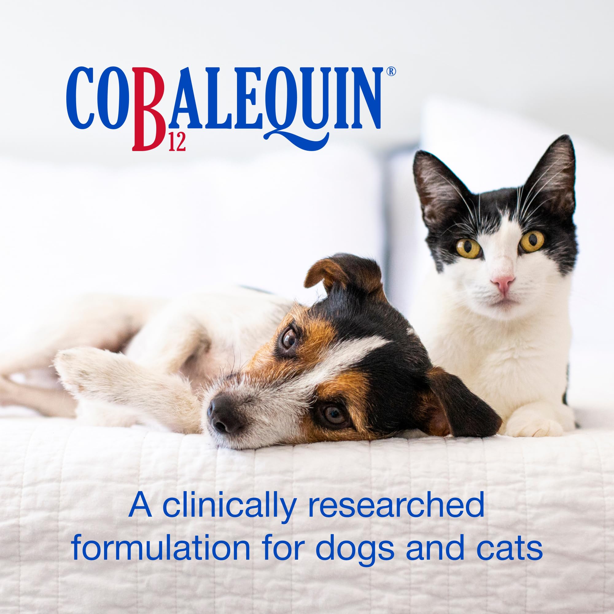 Nutramax Laboratories Cobalequin B12 Supplement for Cats and Small Dogs, 45 Count (Pack of 1)