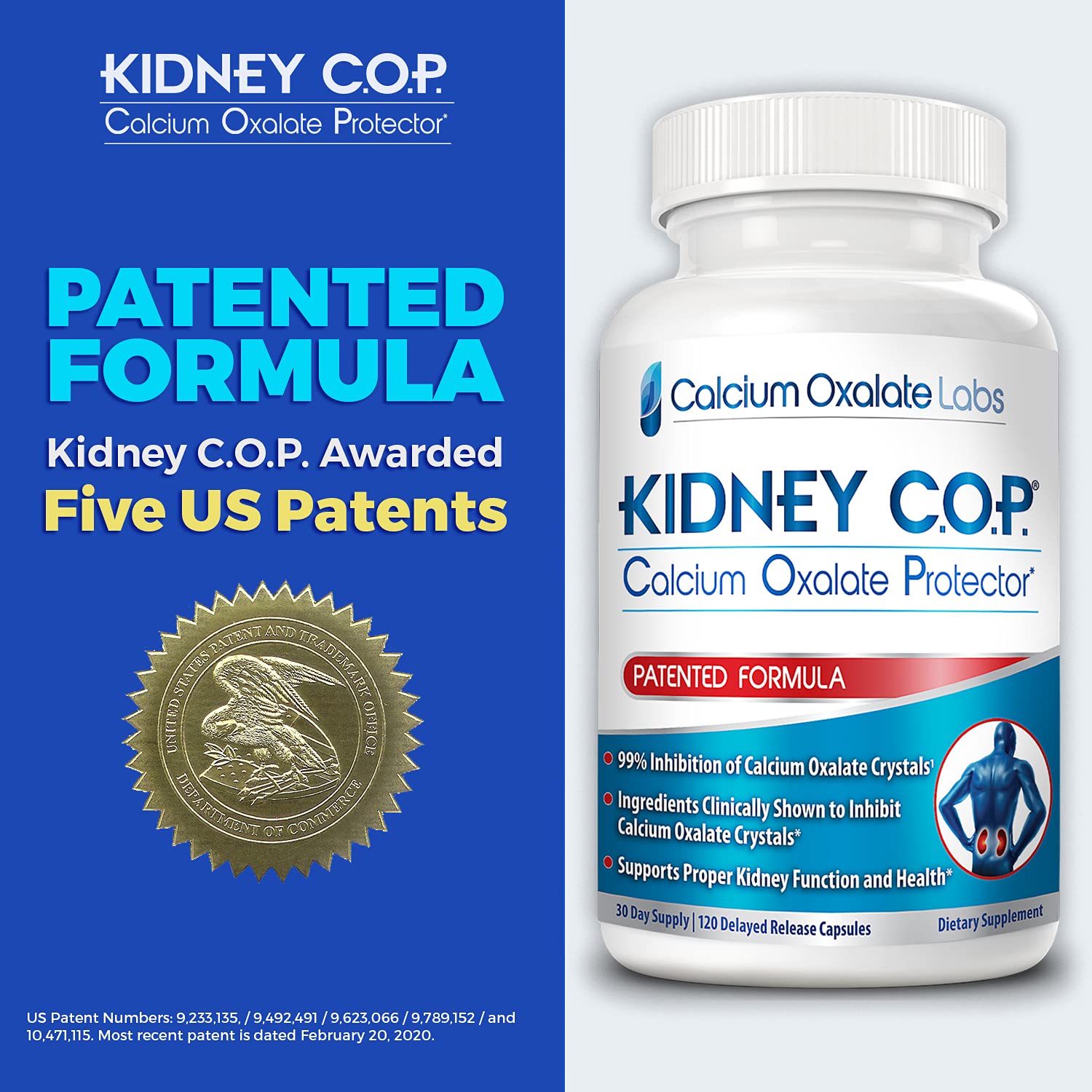 KIDNEY C.O.P. Calcium Oxalate Protector 120 Capsules, Patented Kidney Support for Calcium Oxalate Crystals, Stop Recurrence