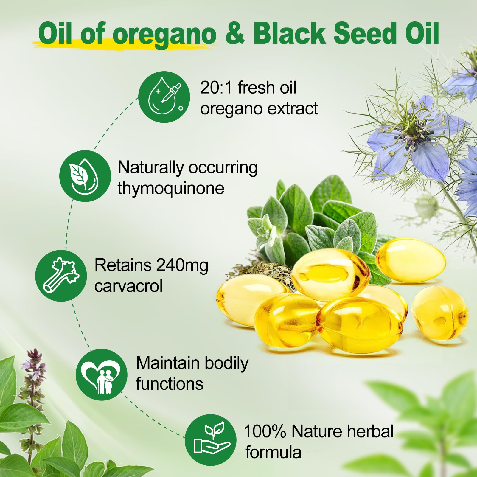 SIGNILIFE Oil of Oregano with Black Seed Oil, 6000mg Oregano Oil Capsules for Immune Support with High Carvacrol & Thymoquinone, Antioxidant, Non-GMO, Gluten Free, 150 Softgels