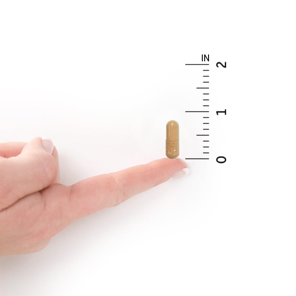 Garden of Life Vitamin Code®, RAW Prenatal™, 180 Vegetarian Capsules