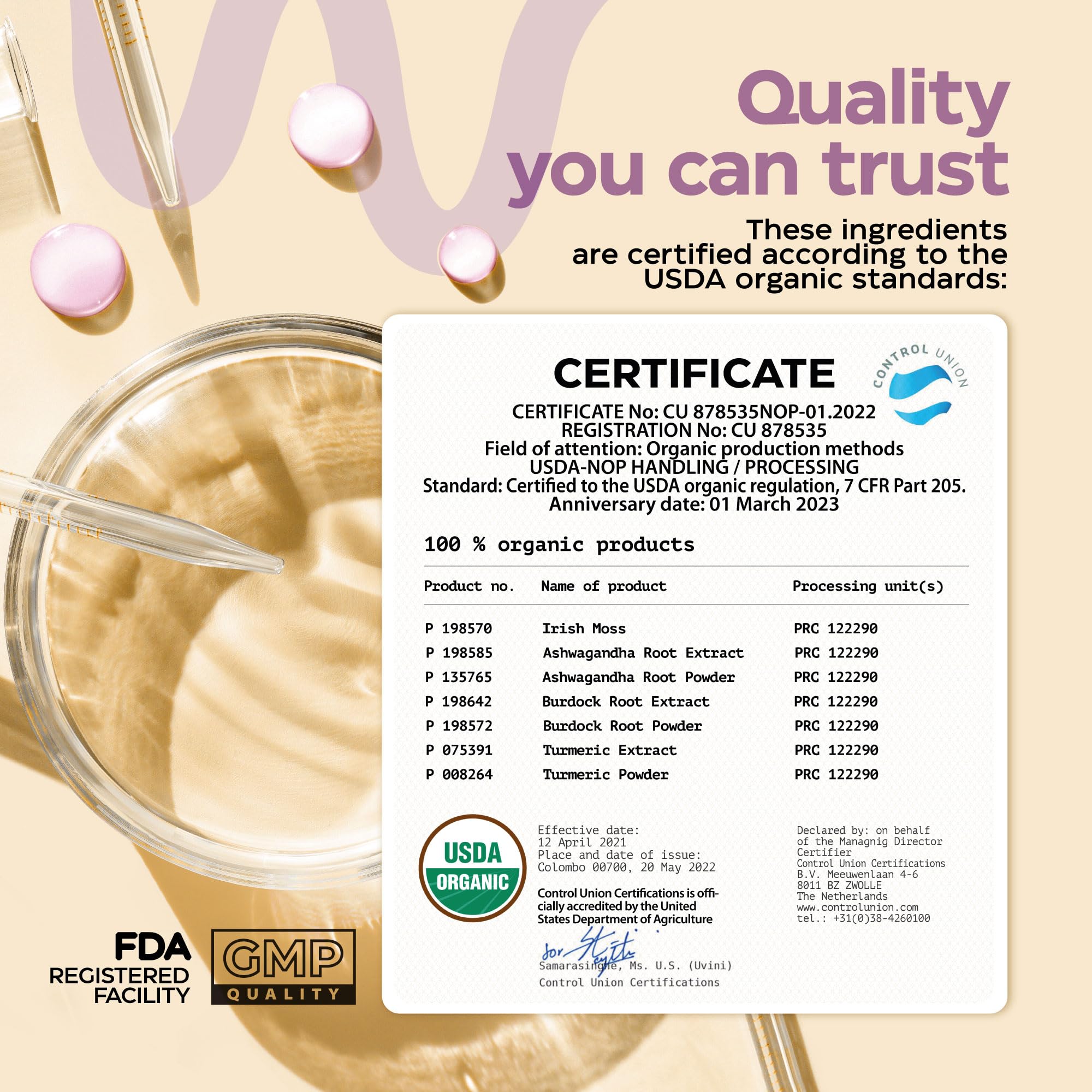 Multimineral Sea Moss Gummies 3000 Mg with Probiotic, Bladderwrack, Black Seed Oil, Ashwagandha, Burdock Root (2 Pack) - Irish Seamoss for Immunity, Thyroid and Gut Health - Vegan, Sugar Free