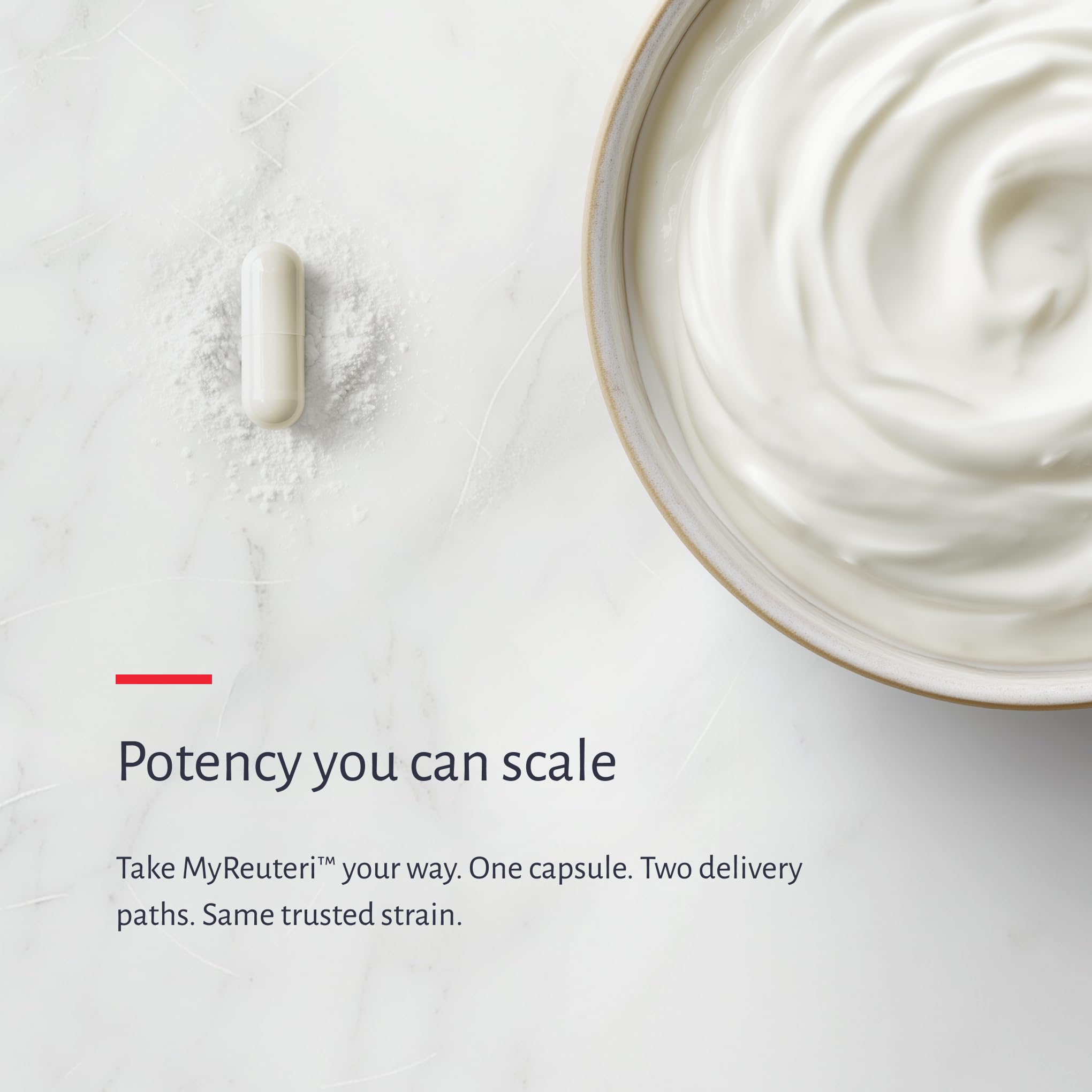 MyReuteri™ 20 Billion CFU Probiotic – Enhanced-Strength L. reuteri LRDR™ + FOS Prebiotic – by Dr. William Davis – Makes Yogurt-Like Superfood – 30 Veg Capsules