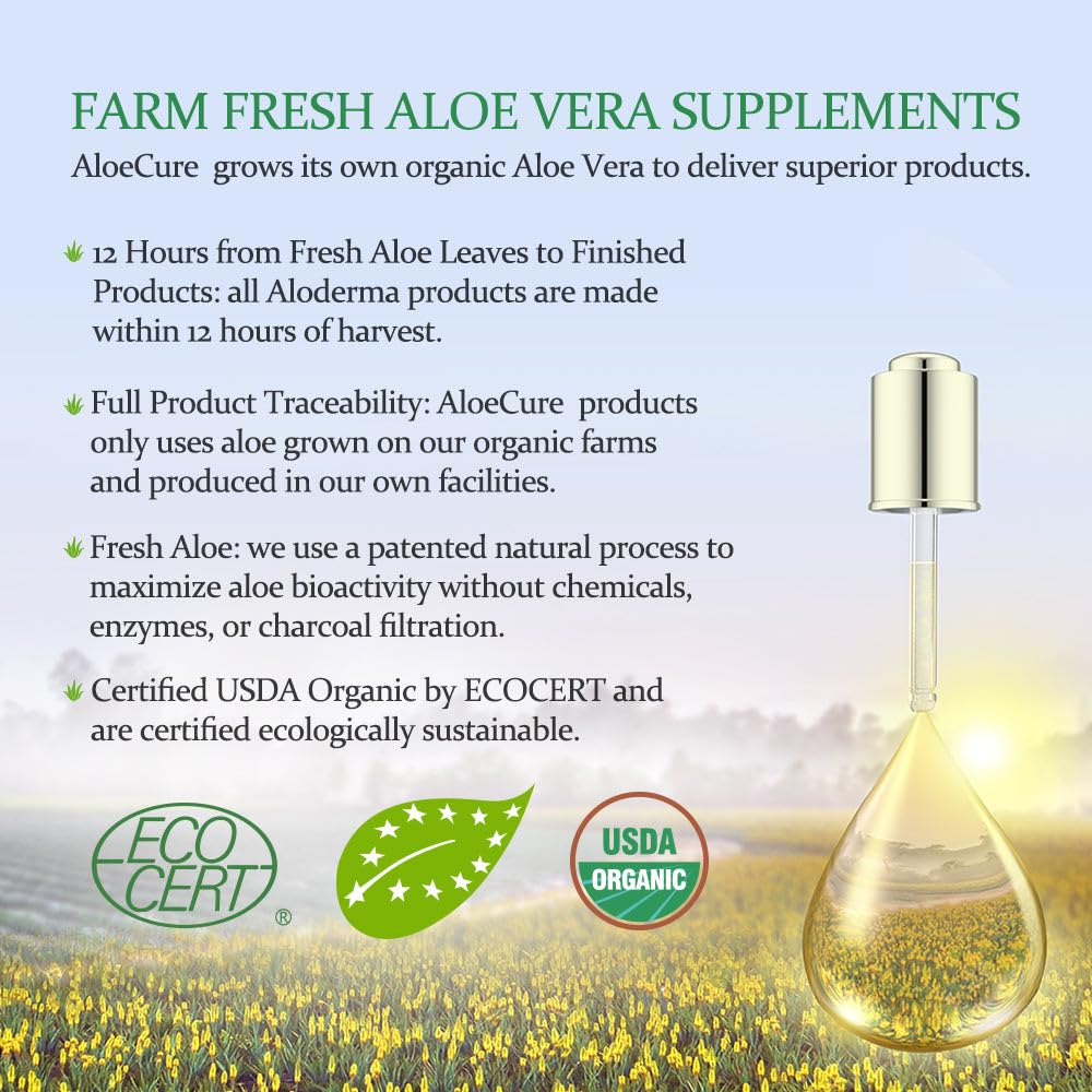 AloeCure Organic Aloe Vera Capsules, 160,000mg Inner Aloe Leaf Equivalent per Serving, Support Gut, Digestive, & Immune Health, Helps Maintain Balanced Stomach Acidity, Aloin Free, 60 Capsules
