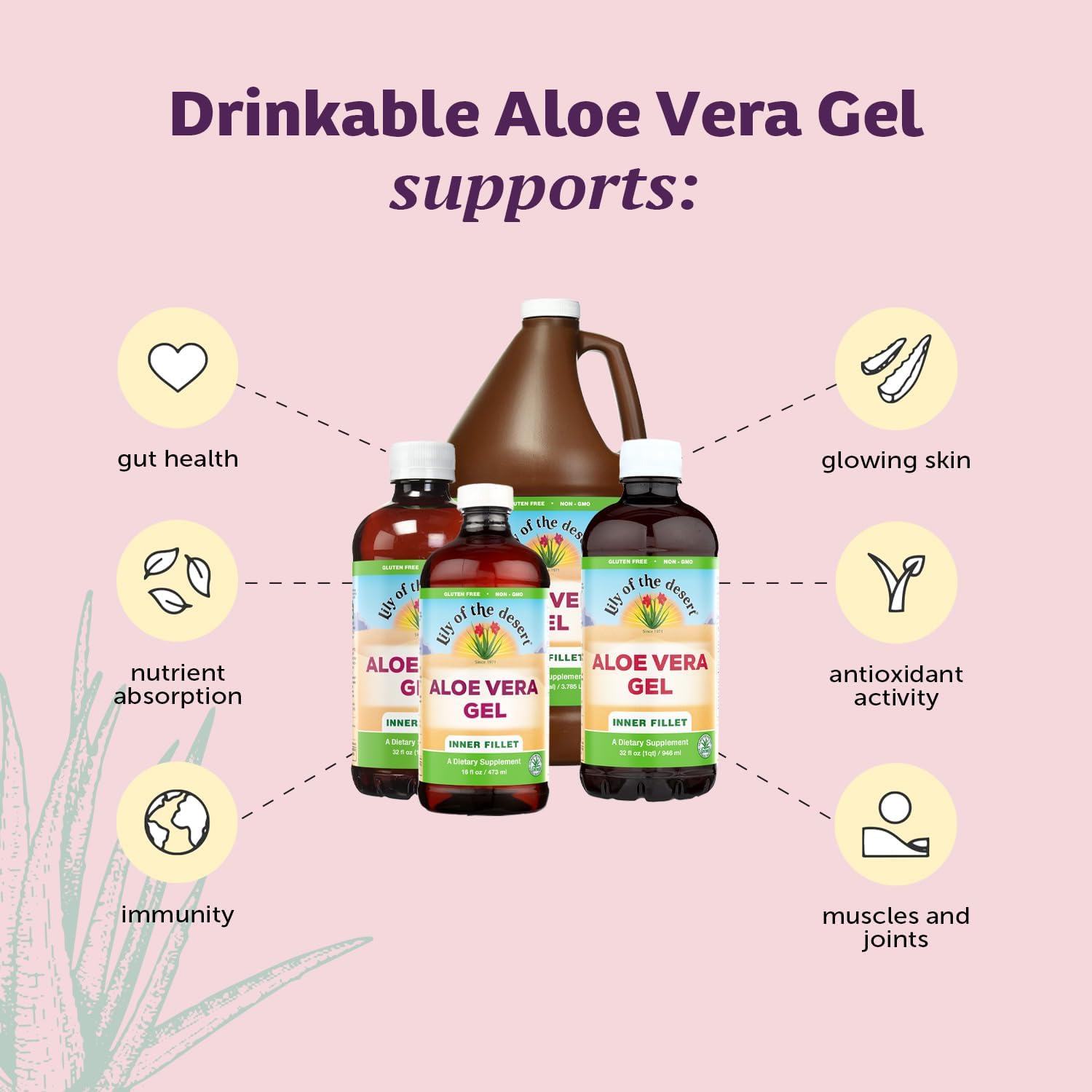 Lily Of The Desert Organic Aloe Vera Juice 2-Pack – Inner Fillet, Natural Gut & Digestive Support, Stomach Relief, 32 Fl Oz Ea
