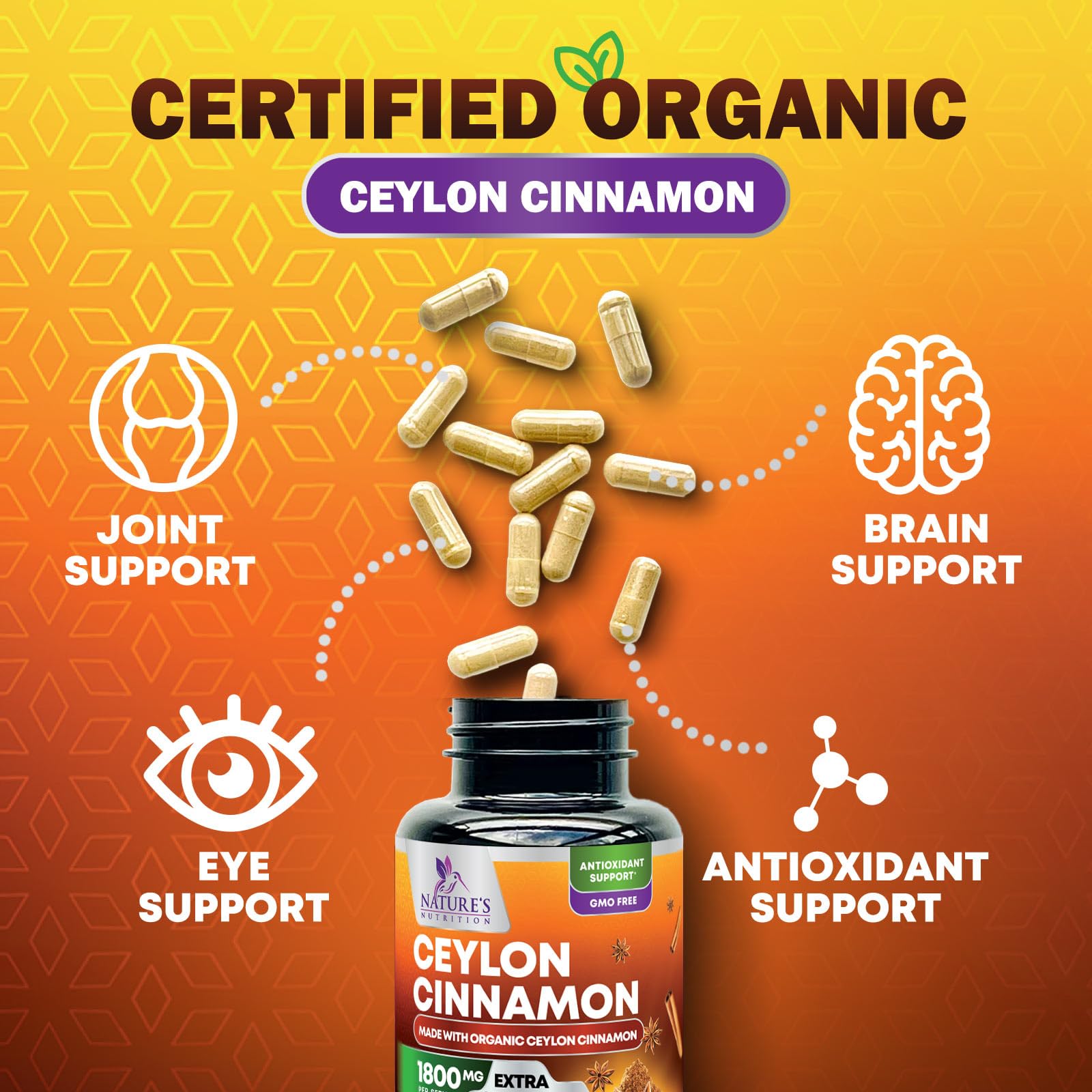 Organic Ceylon Cinnamon Supplement 1800mg - Extra Strength Certified Organic Ceylon Cinnamon Powder Pills - Energy & Heart Support Antioxidant for Women & Men, Bottled in USA, Non-GMO - 240 Capsules