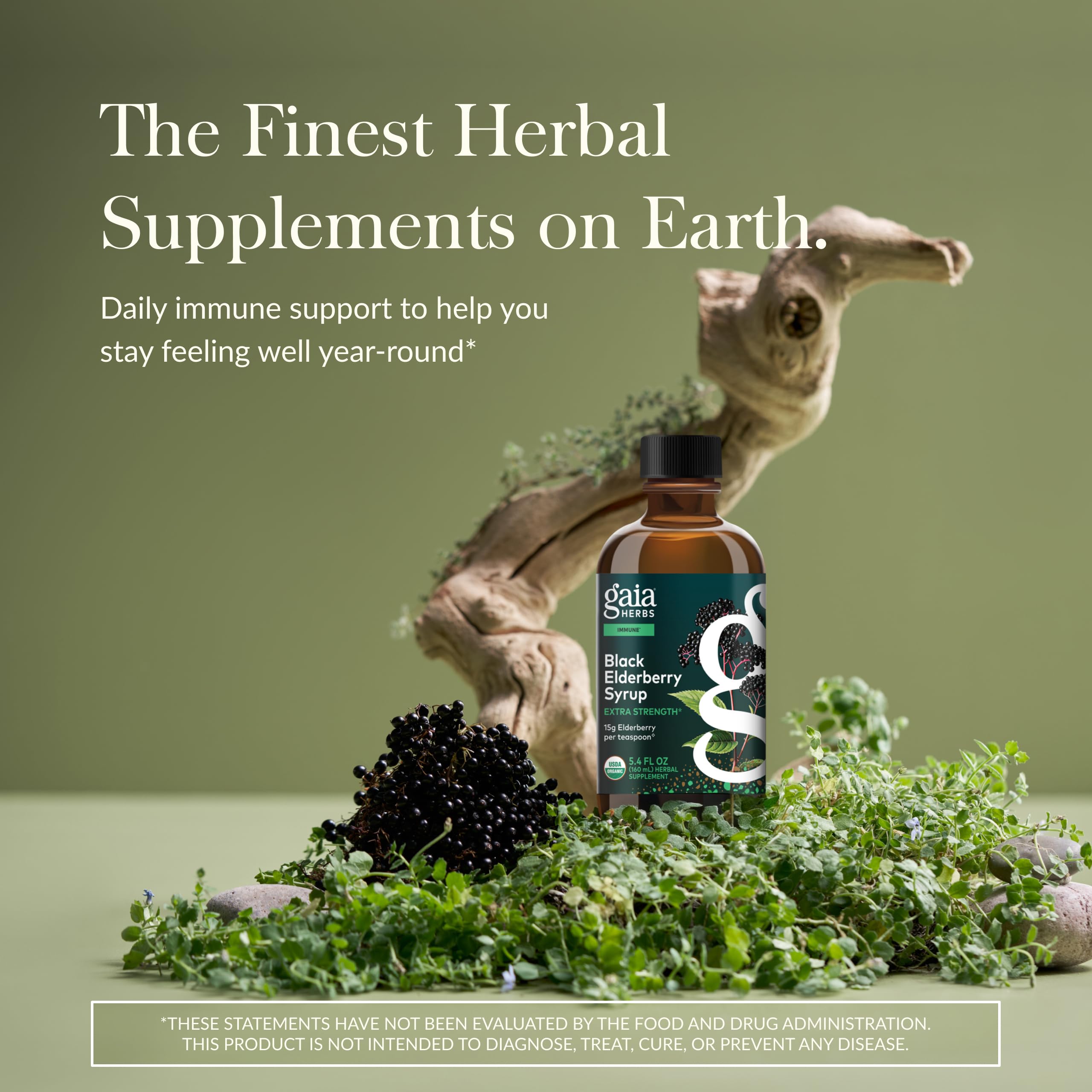 Gaia Herbs Black Elderberry Syrup - Made with Organic Black Elderberries (Sambucus nigra) for Immune System Support* - USDA Certified Organic Formula - 5.4 Fl Oz (About 32 to 128 Servings)