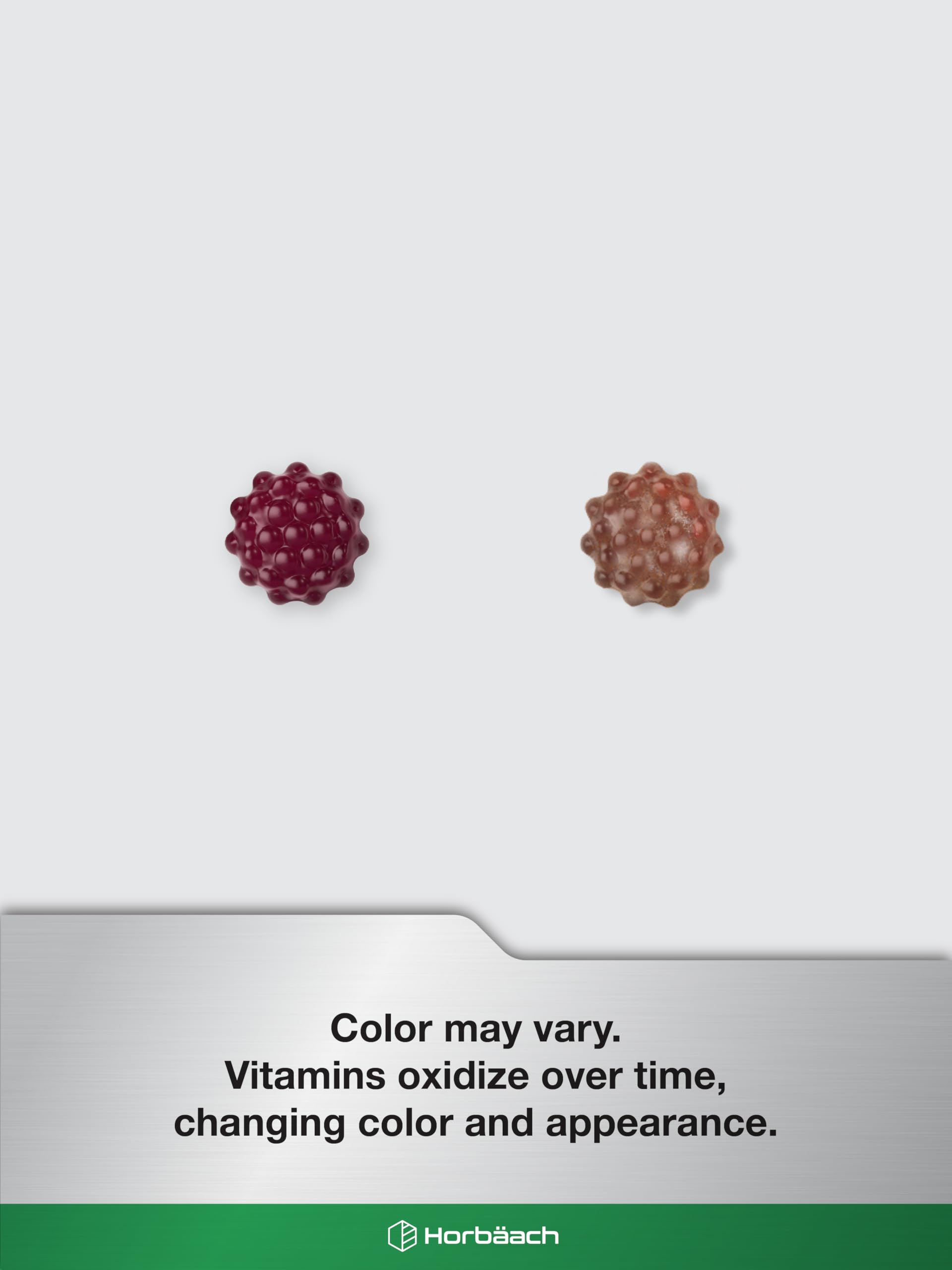 Horbaach Black Elderberry Gummies | 120 Count | Sambucus Extract | with Zinc and Vitamin C | Berry Flavor | Vegan, Non-GMO, and Gluten Free Supplement for Adults