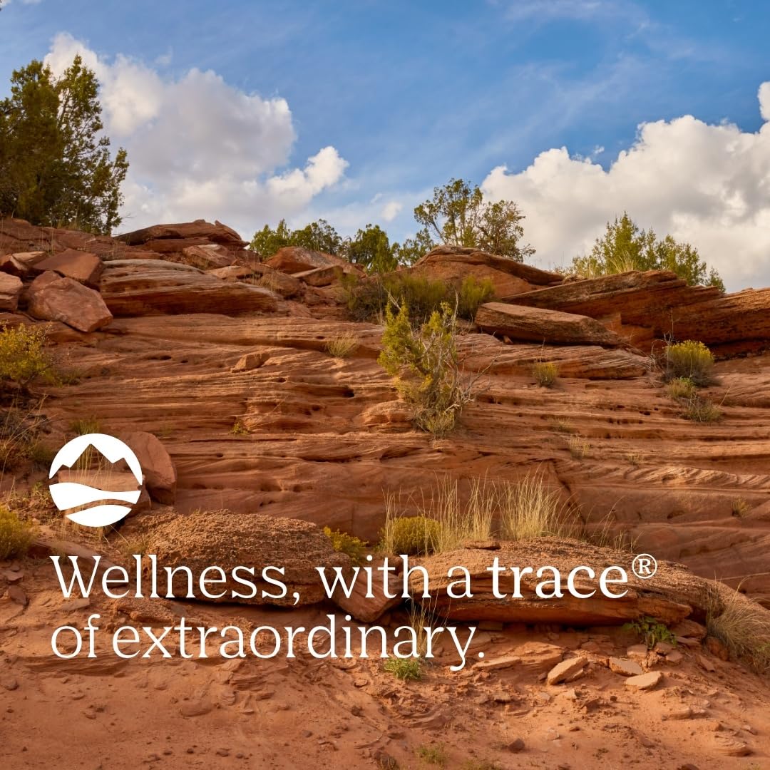 Trace Minerals Magnesium Glycinate Powder - Daily Magnesium Powder for Sleep Support - Calming Bedtime Drink - Natural & Gentle - Orange Dream - 180g (60 Servings)