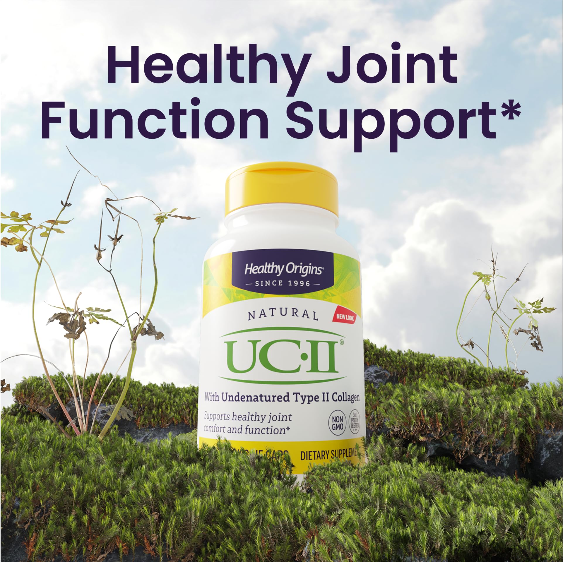 Healthy Origins UC-II 40 mg (Undenatured Type II Collagen, Non-GMO, Gluten Free, Joint Support), 60 Veggie Caps