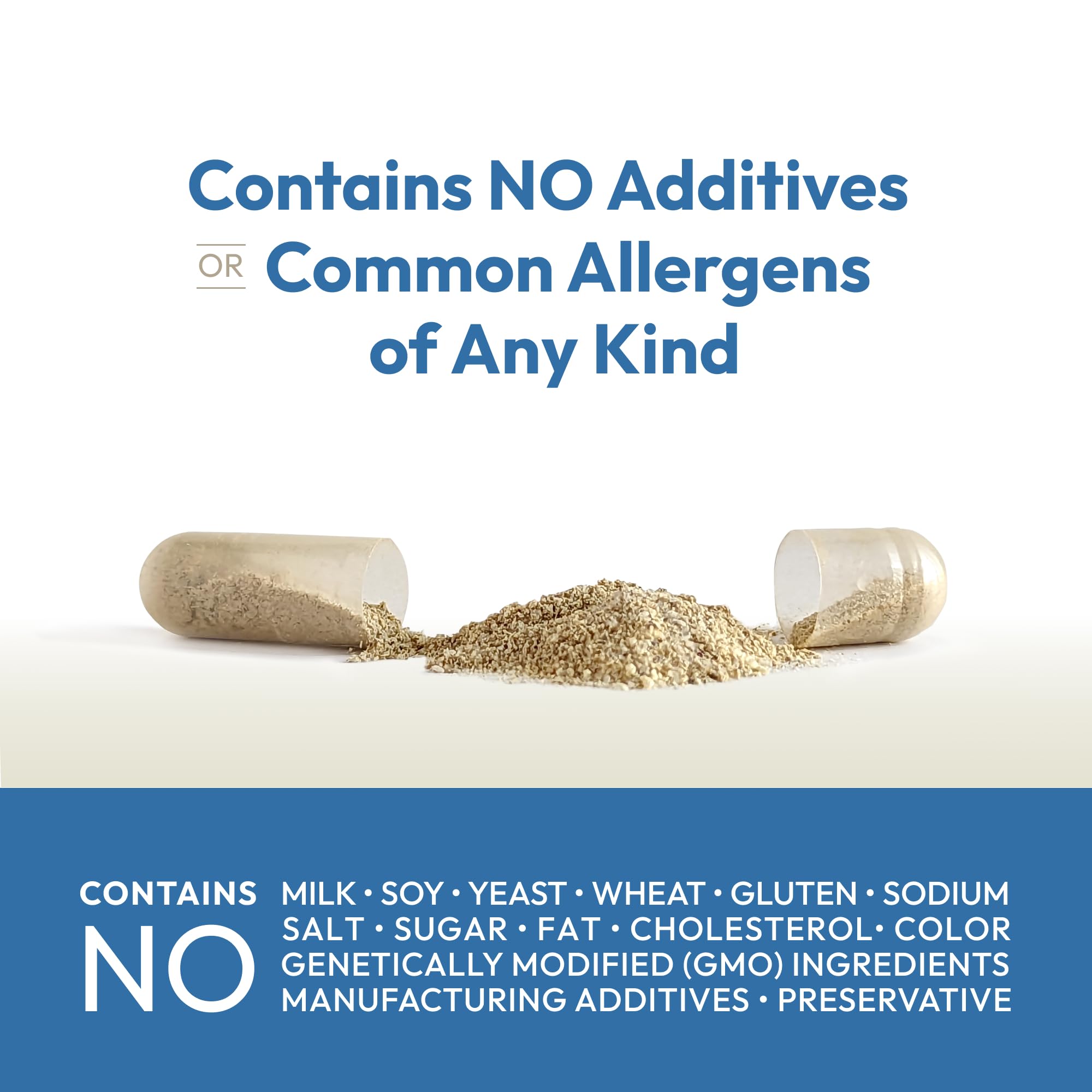 ANDREW LESSMAN Circulation, Vein Support for Healthy Legs 60 Capsules - High Bioactivity Diosmin, Butcher's Broom, Visibly Reduces Swelling and Discomfort in Feet, Ankles, Calves, Legs