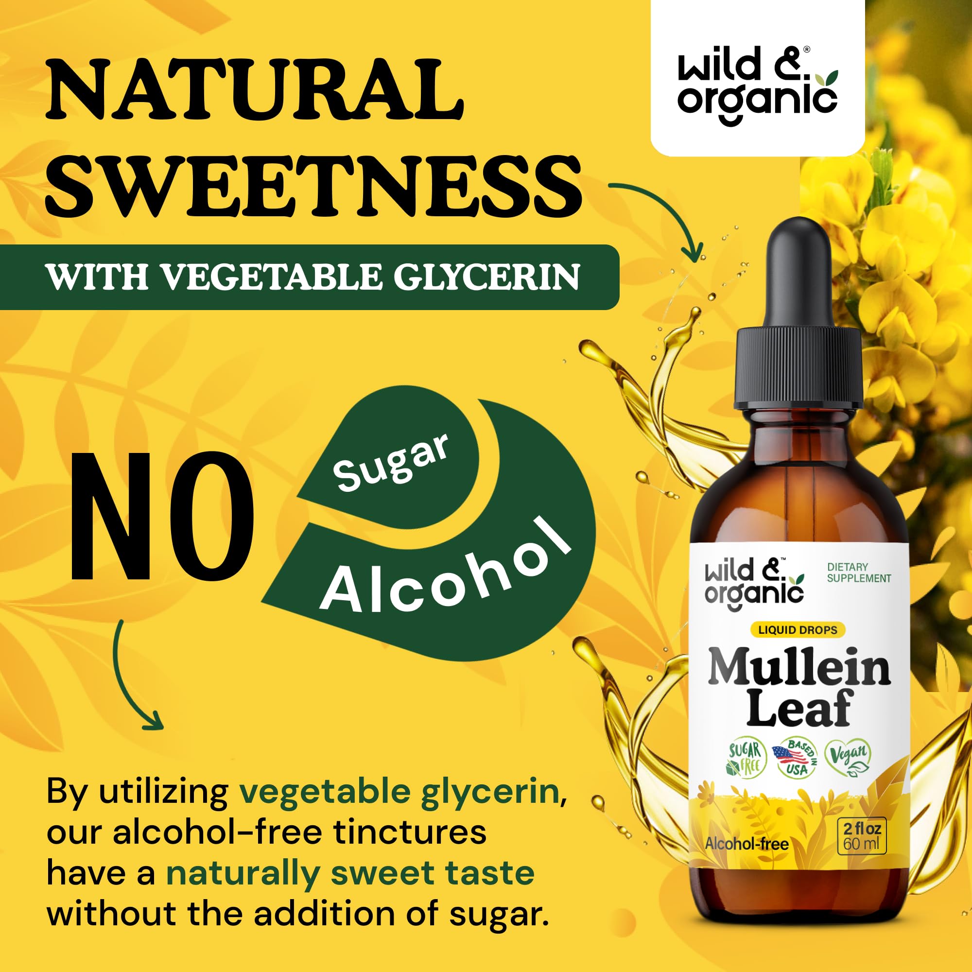 Wild & Organic Mullein Drops for Lungs - Herbal Detox and Cleanse - Mullein Leaf Extract for Lungs with Echinacea - Verbascum Thapsus Tincture - Vegan, Sugar & Alcohol-Free Liquid Supplement - 2 fl oz