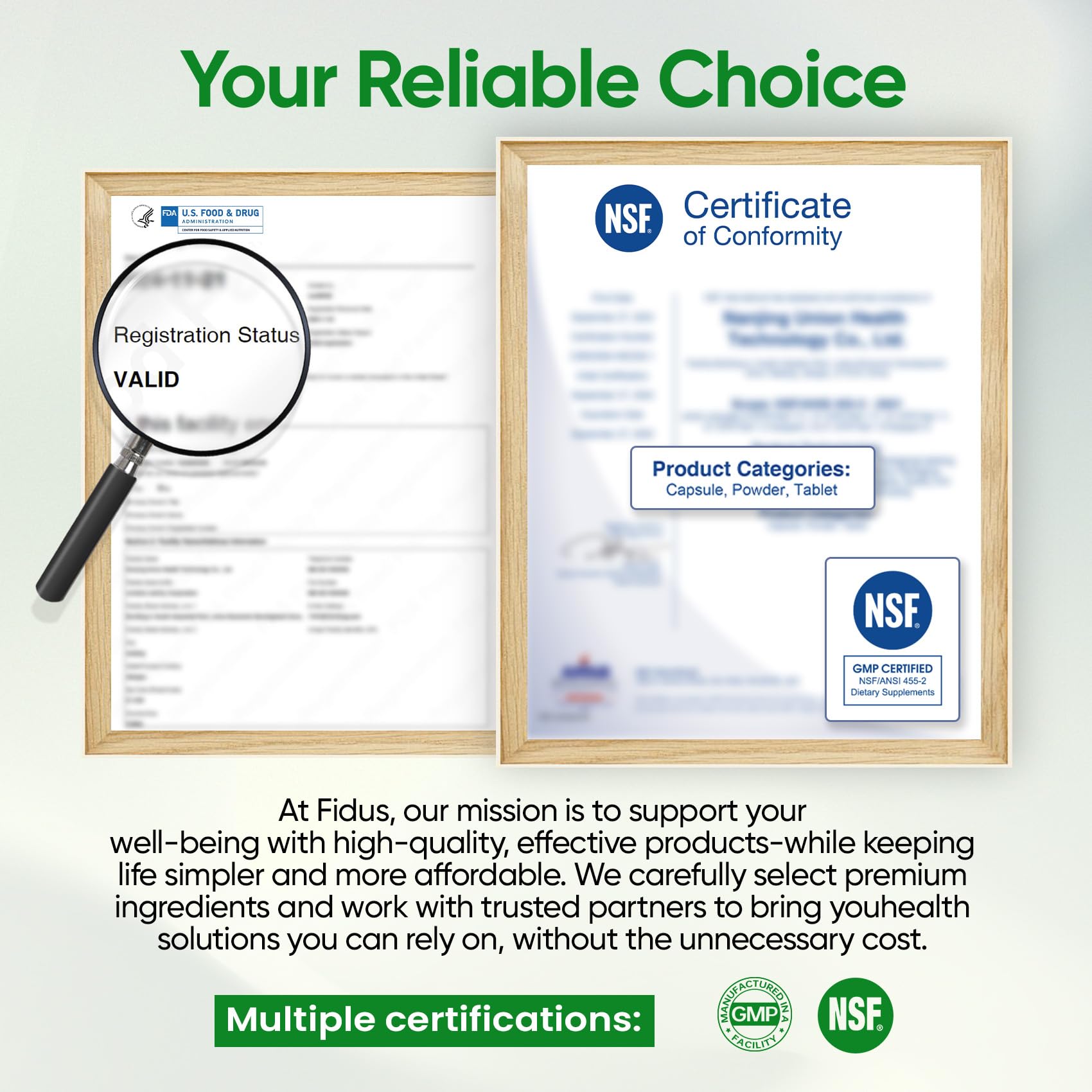 Fidus Mullein Drops for Lungs & Lymphatic Drainage – 7 Herb with Echinacea, Oregano, Ginger, Elderberry, Marshmallow Root & Thyme– Lung Detox for Smokers– Respiratory & Immune Support, 4 fl oz