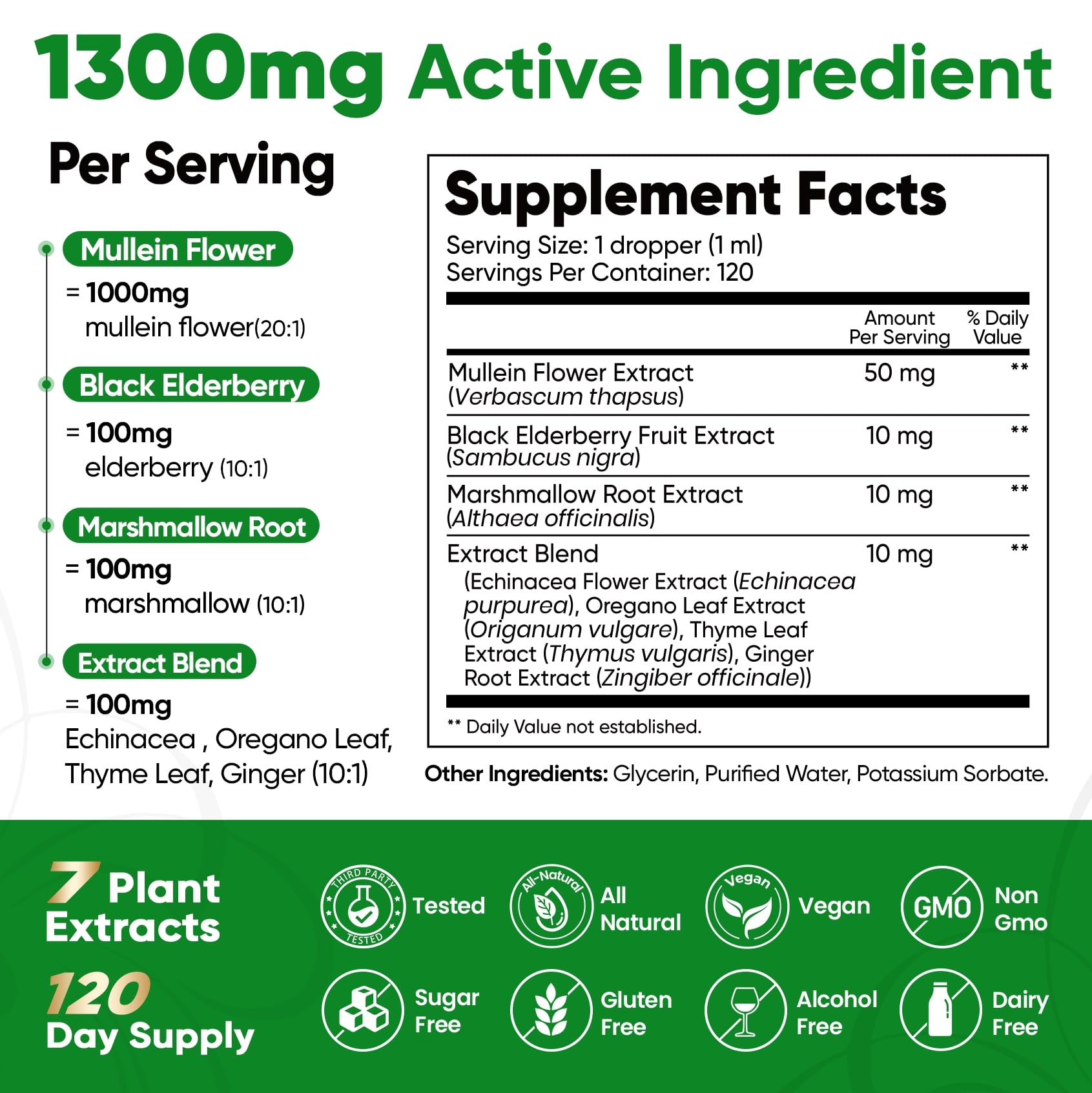 Fidus Mullein Drops for Lungs & Lymphatic Drainage – 7 Herb with Echinacea, Oregano, Ginger, Elderberry, Marshmallow Root & Thyme– Lung Detox for Smokers– Respiratory & Immune Support, 4 fl oz