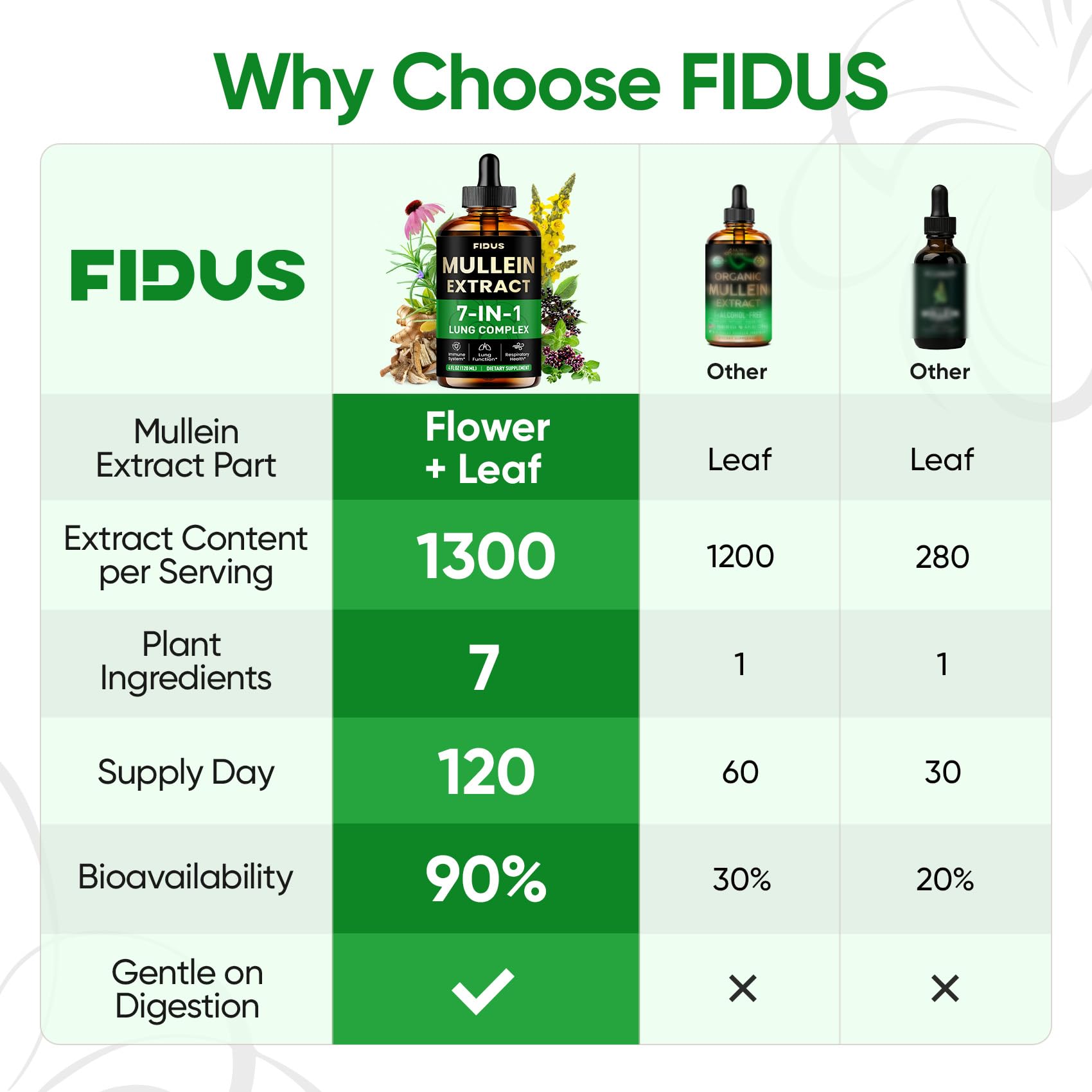 Fidus Mullein Drops for Lungs & Lymphatic Drainage – 7 Herb with Echinacea, Oregano, Ginger, Elderberry, Marshmallow Root & Thyme– Lung Detox for Smokers– Respiratory & Immune Support, 4 fl oz