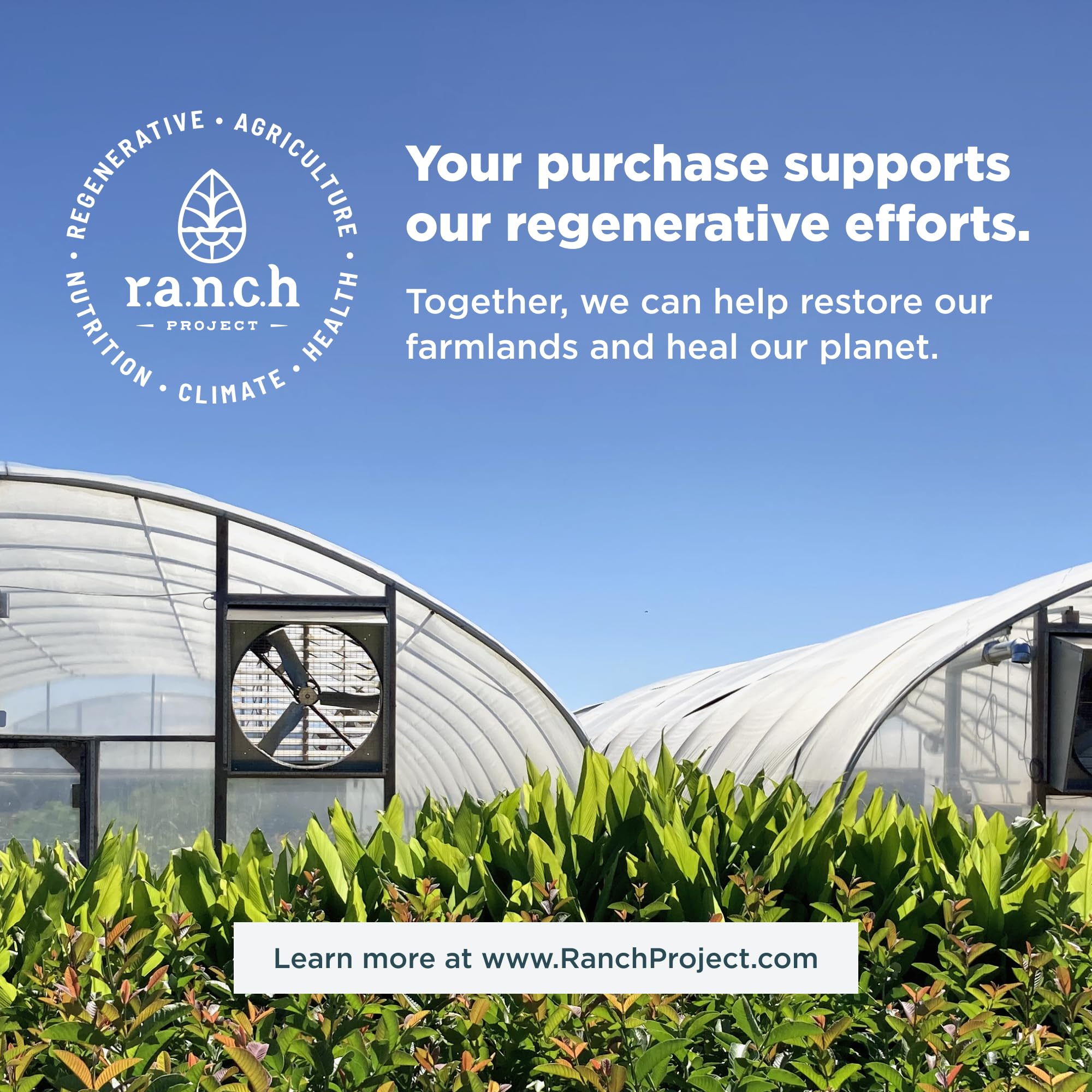 Ancient Nutrition Probiotics for Men, SBO Probiotics Men's 60 Ct, for Gut Health, Digestive and Immune Support, Boosts Muscle Mass and Fat Metabolism, 25 Billion CFUs* Per Serving