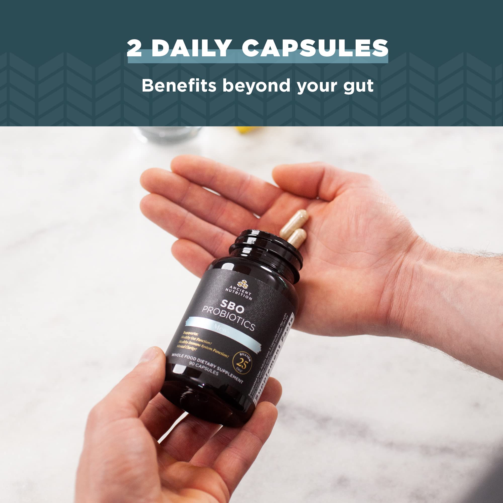 Ancient Nutrition Probiotics for Men, SBO Probiotics Men's 60 Ct, for Gut Health, Digestive and Immune Support, Boosts Muscle Mass and Fat Metabolism, 25 Billion CFUs* Per Serving