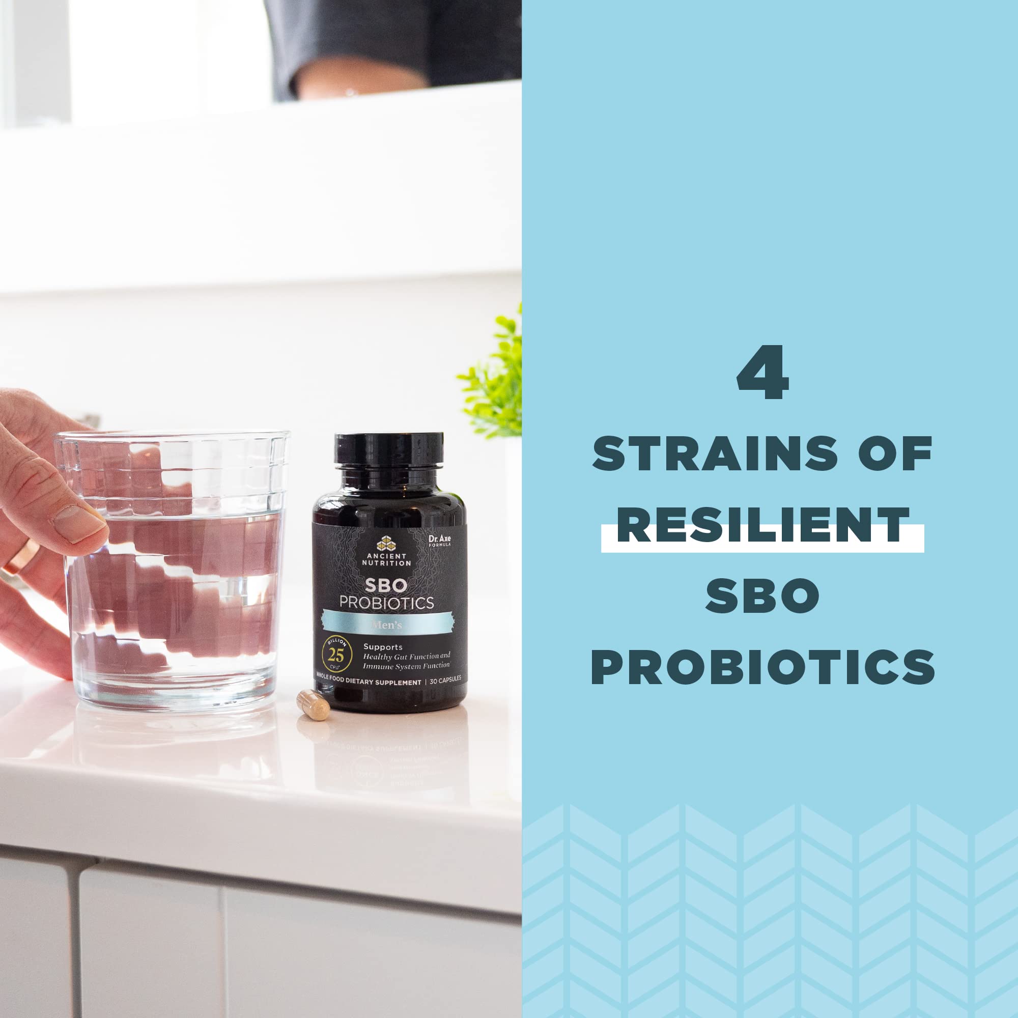 Ancient Nutrition Probiotics for Men, SBO Probiotics Men's 60 Ct, for Gut Health, Digestive and Immune Support, Boosts Muscle Mass and Fat Metabolism, 25 Billion CFUs* Per Serving