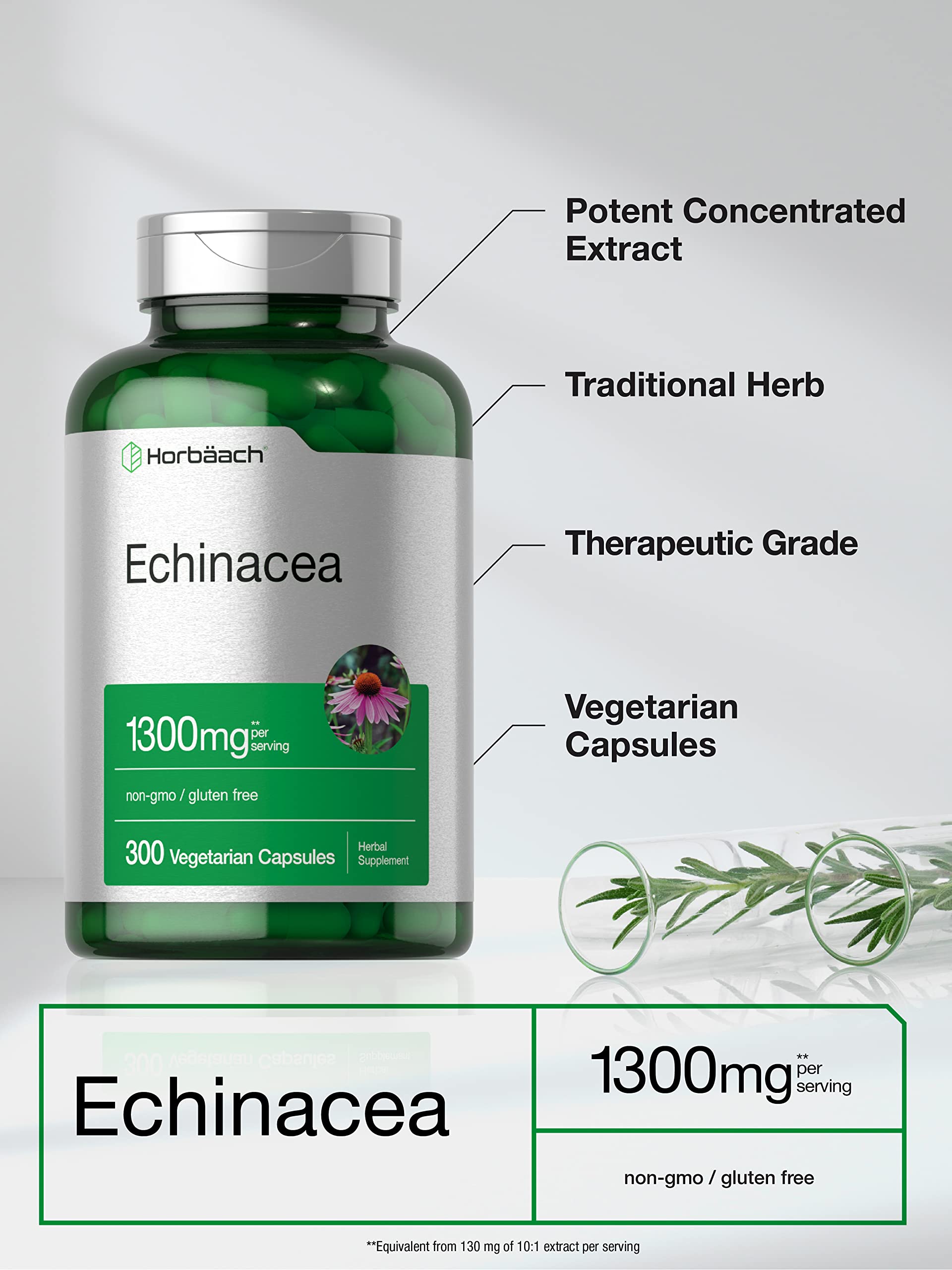 Horbäach Echinacea Extract Capsules | 300 Count | Vegan, Non-GMO, Gluten Free Supplement