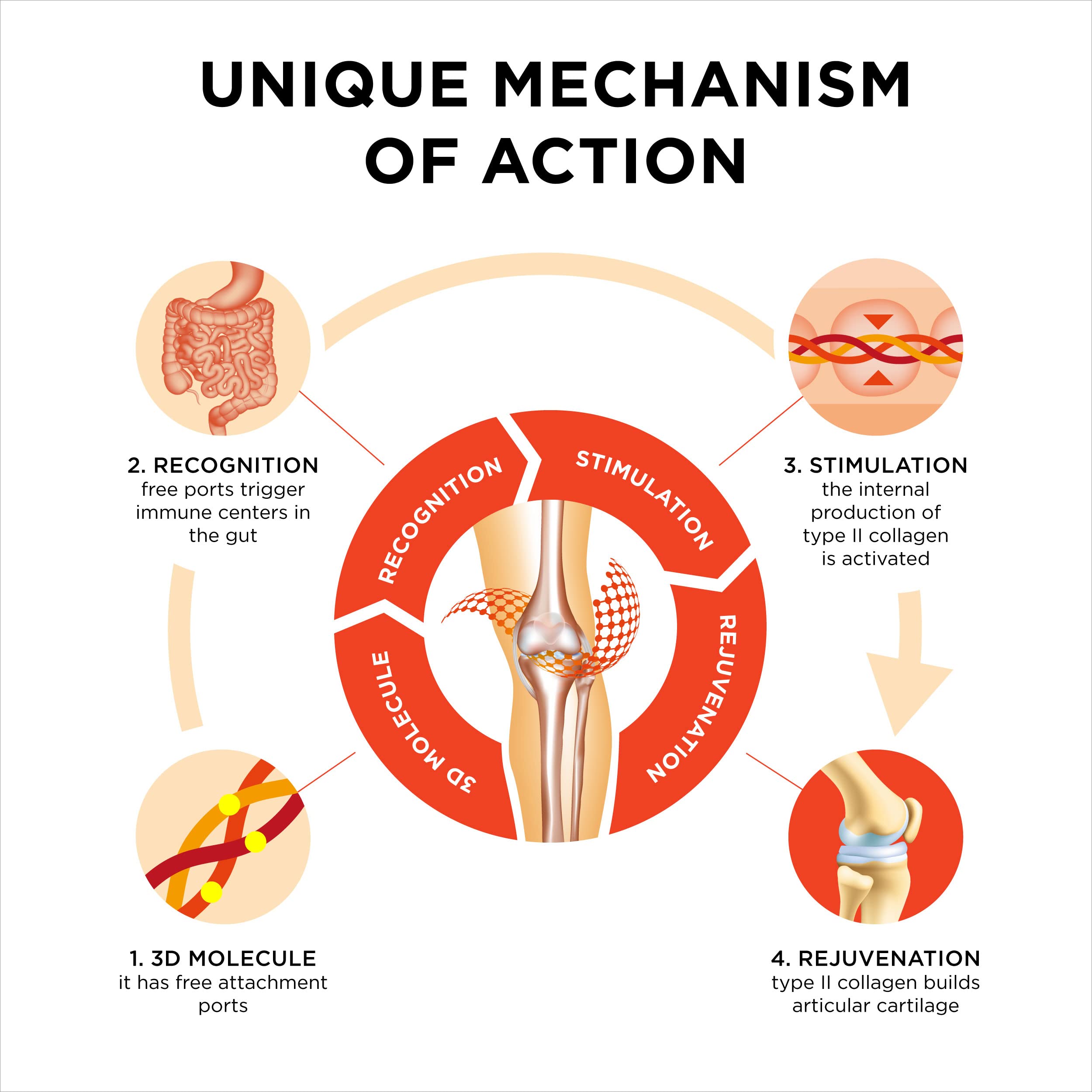 Innovation in The Care of Healthy Joints – Liquid Formula in a Double Capsule. 3D Collagen + Micelle Extract of Turmeric Roots 1 Capsule/Day. Laboratory Tested