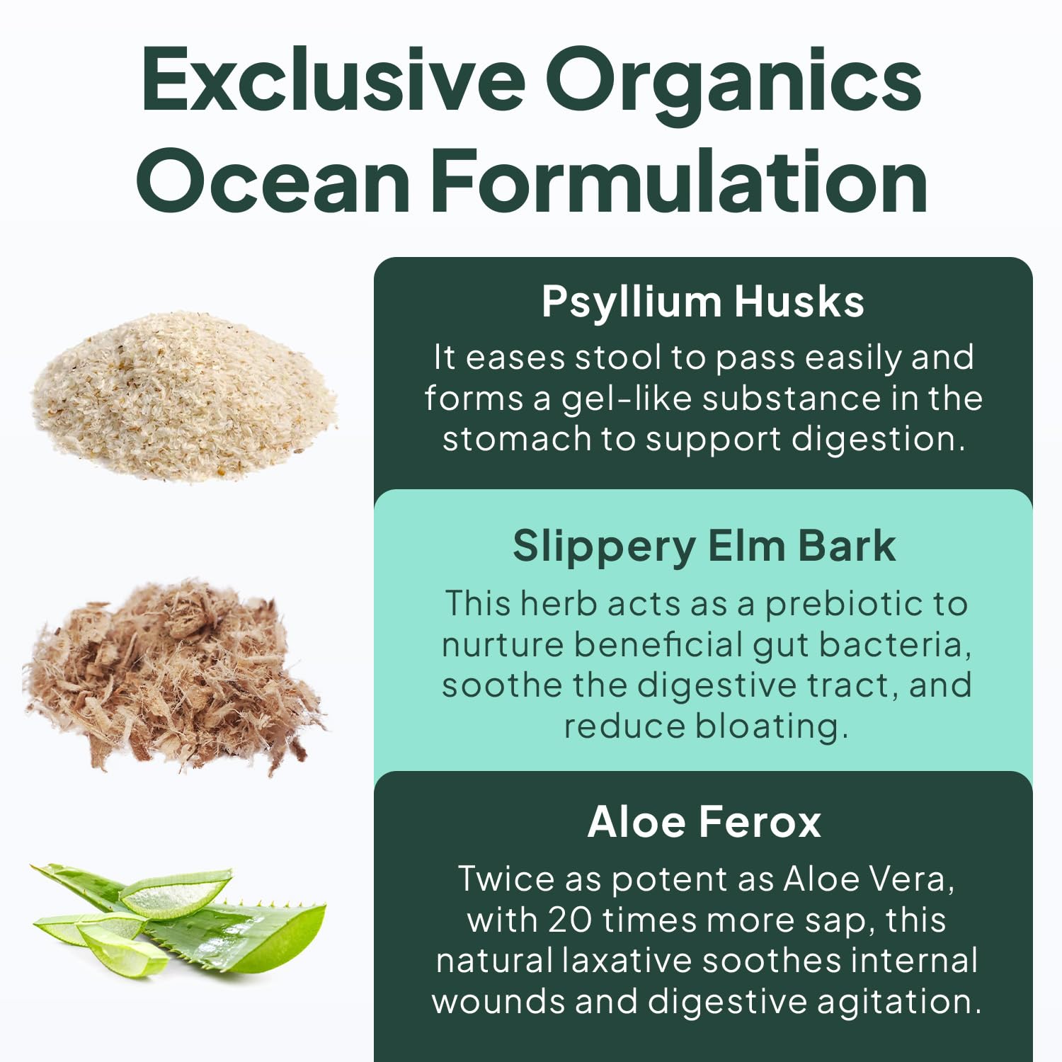 Organics Ocean Better Fiber - Daily Fiber Supplement - Soften Stool for Effortless Bowel Movements - with Psyllium Hulk and Slippery Elm - 90 Capsules