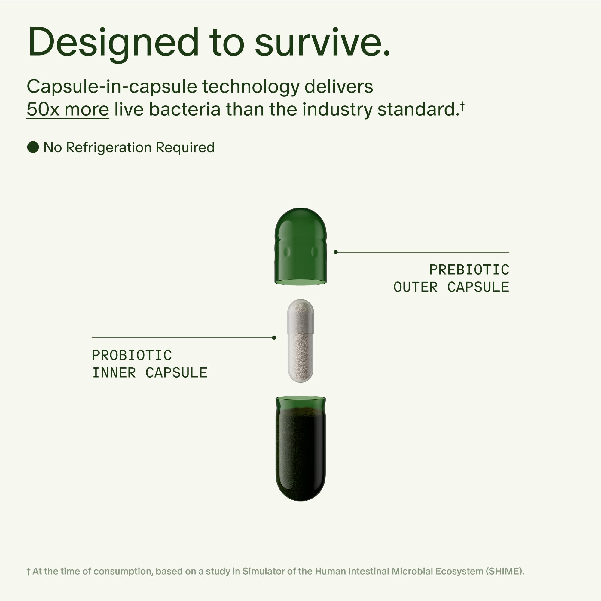 Seed 14 Day Gut Reset - Prebiotic and Probiotic for Women & Men - Digestive Health, Gut Health, Rapid Gut Recovery, Bloating & Constipation Relief - Vegan & Shelf-Stable - 28 Capsules (14-Day Supply)