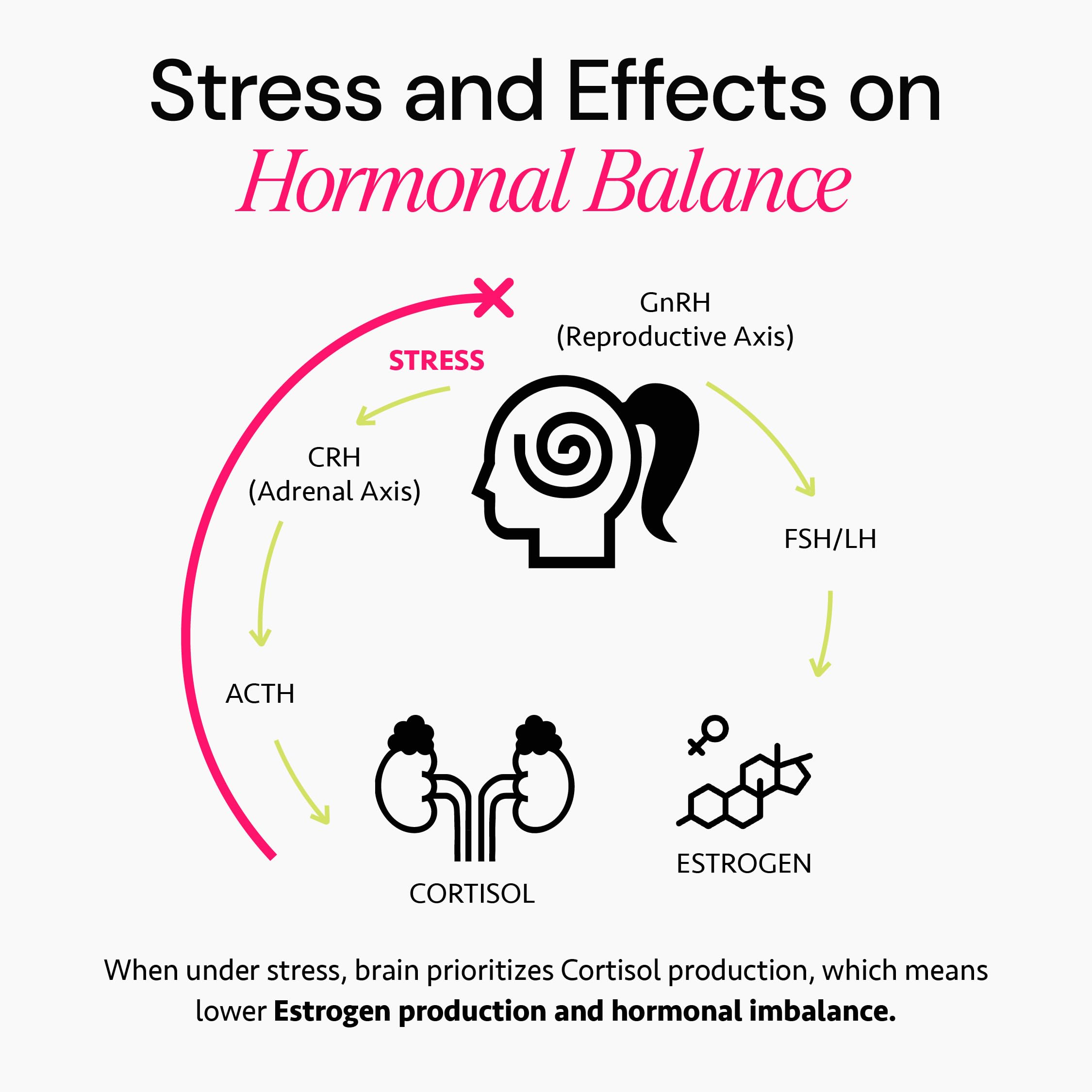 Ayurvedic Hormone Balance for Women | Cortisol Reducer | Mood, Energy, & Sleep Support | Regulates Estrogen | Stress Relief | Ashwagandha, Rhodiola, & Shatavari | Made in USA | 60 Ct. - OSH Wellness