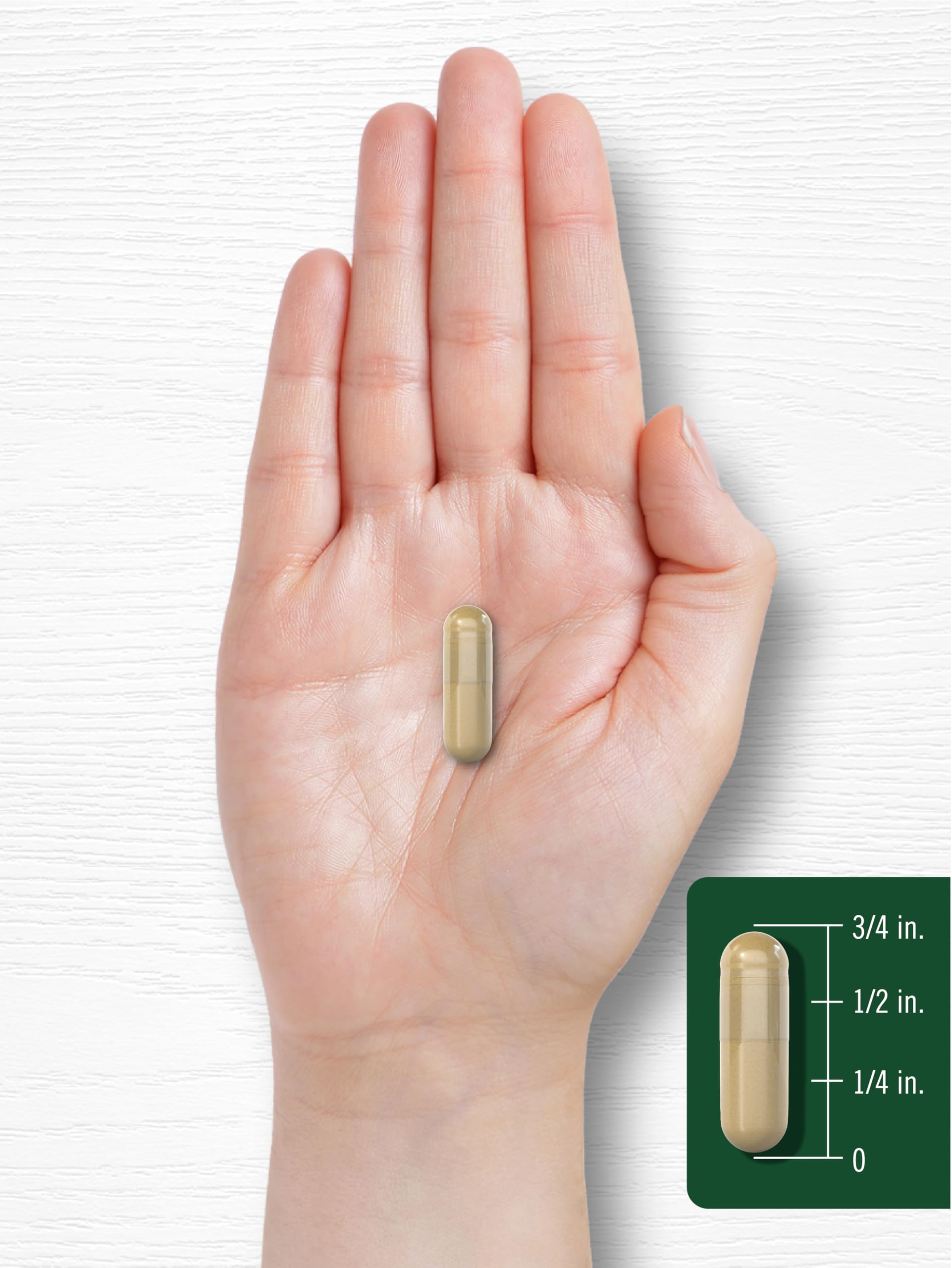 Carlyle Bacopa Monnieri Capsules | 180 Capsules | Gluten Free Supplement