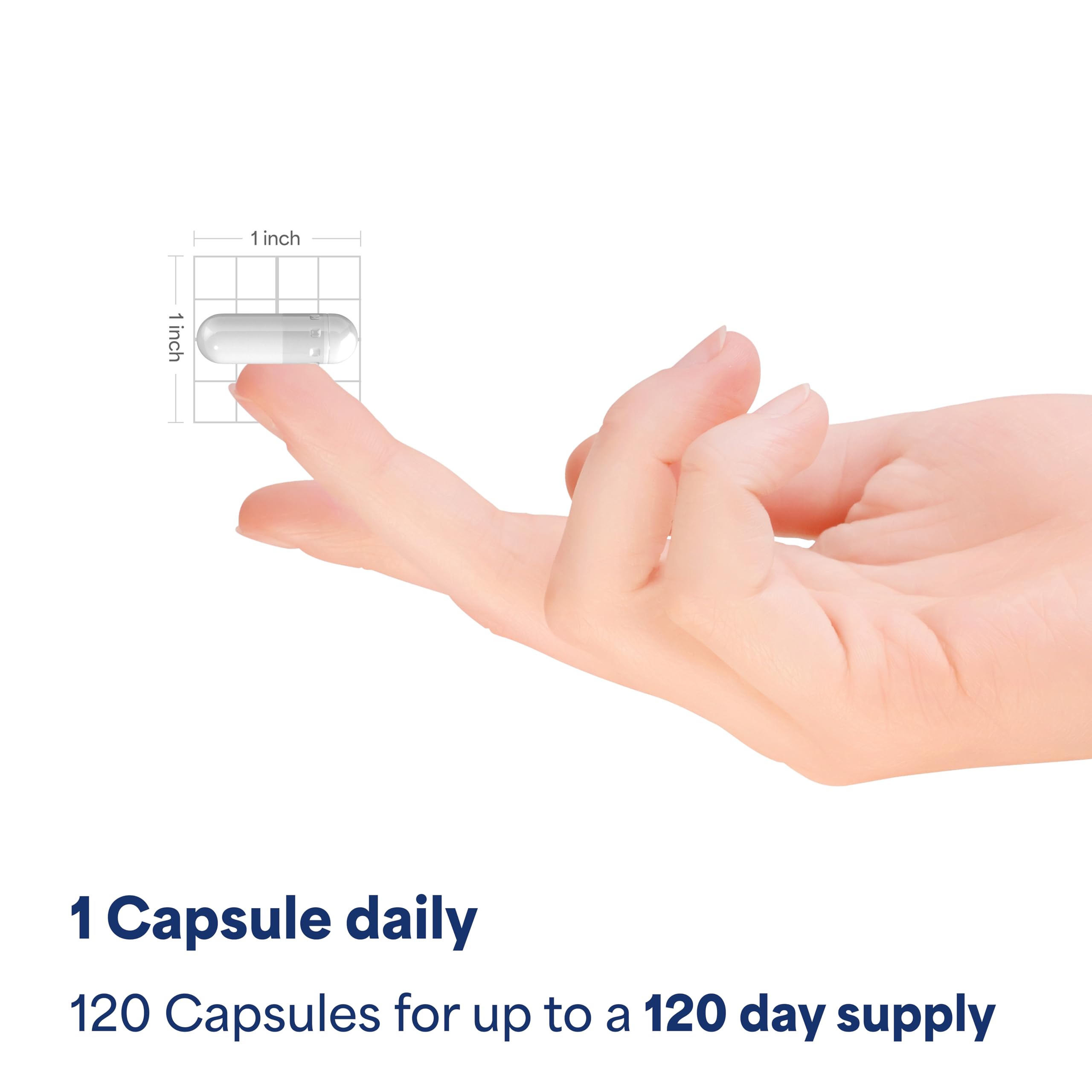 Puritan's Pride Doctors Trust® Red Yeast Rice 600mg, Dietary Supplement, 240 Rapid Release Capsules