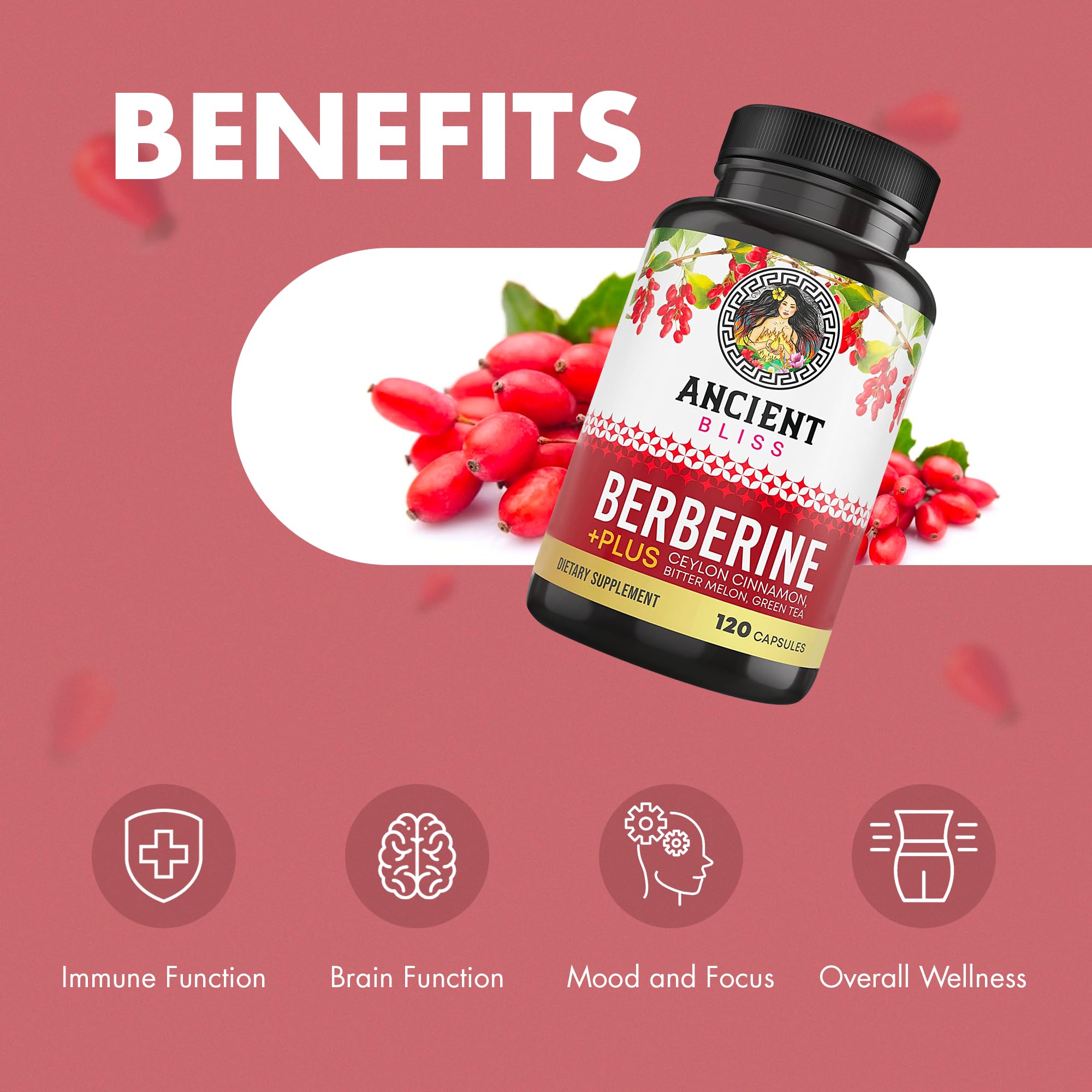 Ancient Bliss Berberine HCL 1200mg with Ceylon Cinnamon, Bitter Melon, and Green Tea Extract - 120 Capsules