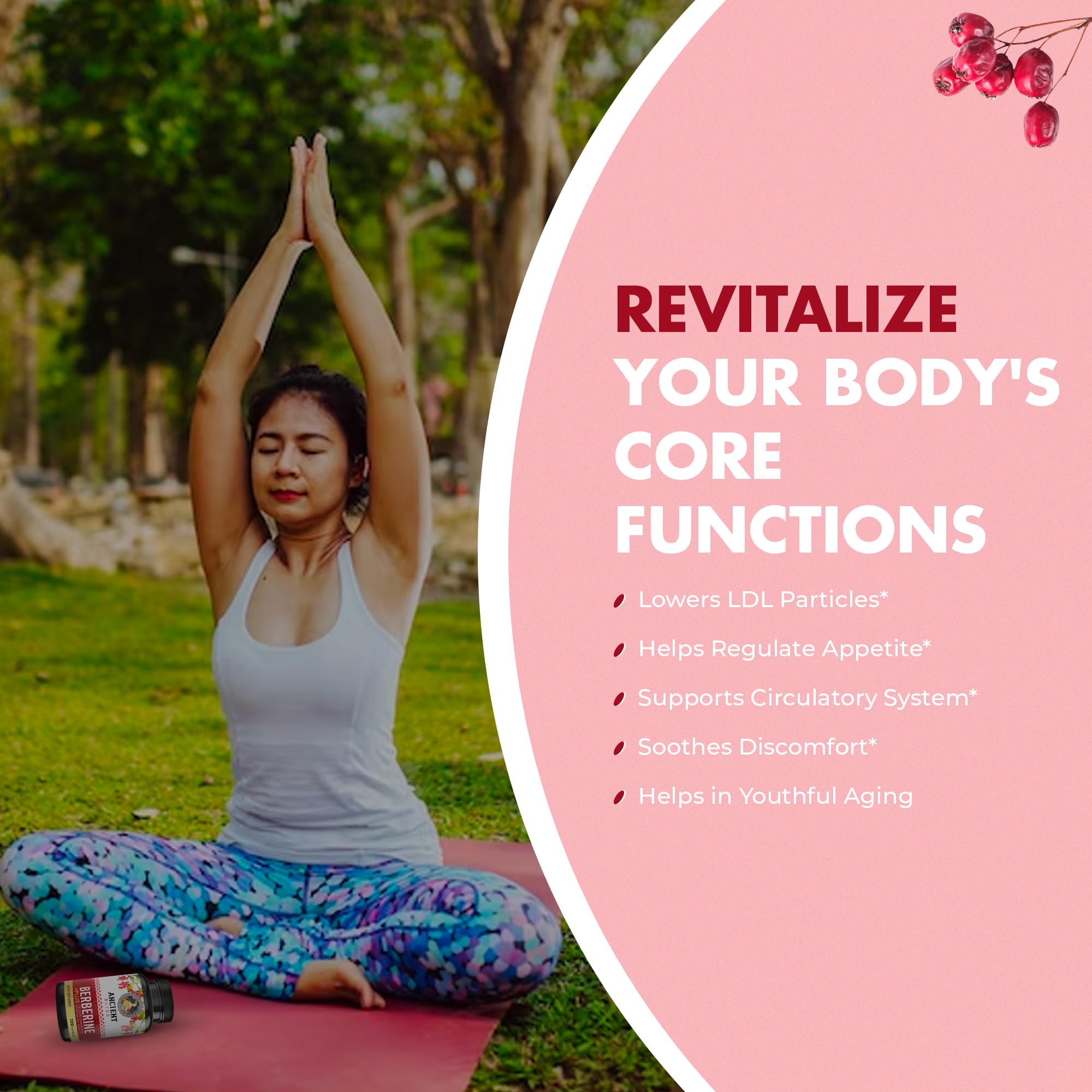 Ancient Bliss Berberine HCL 1200mg with Ceylon Cinnamon, Bitter Melon, and Green Tea Extract - 120 Capsules