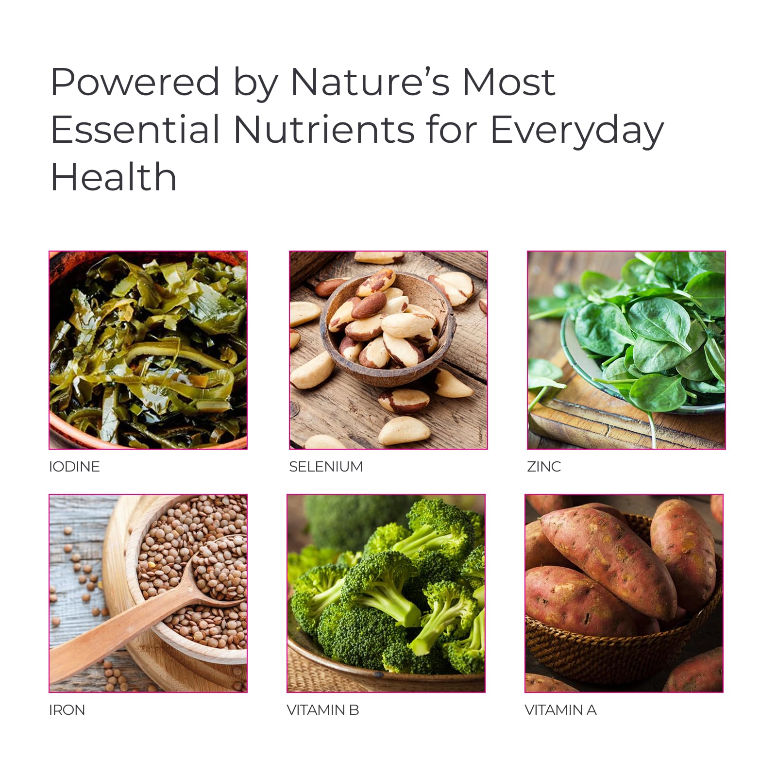 Livingood Daily Methylated Multivitamin for Women and Men, Multi Vitamin Supplement with Alpha Lipoic Acid, B Vitamins, Iron, Zinc and Selenium, Energy, Metabolism and Immune Support, 60 Capsules