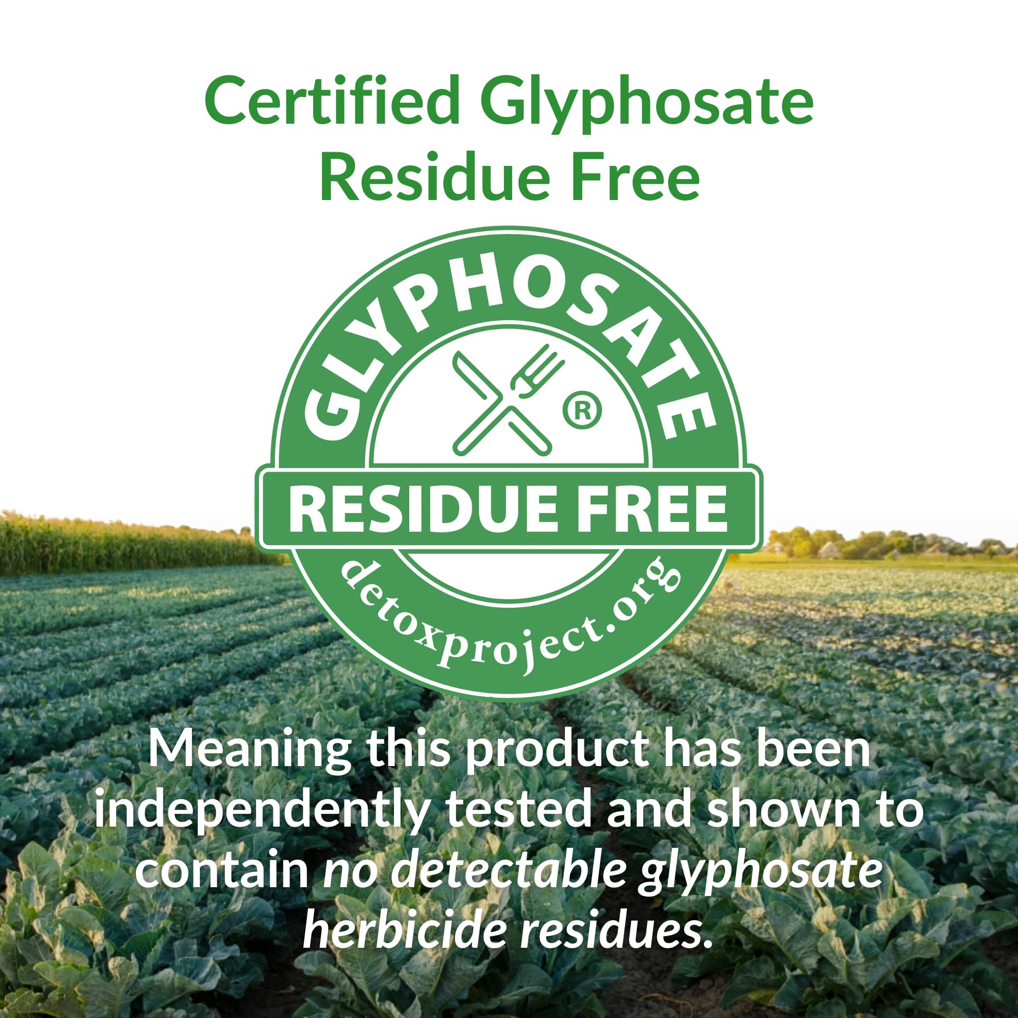 BrocElite Mara Labs Plus | Stabilized Broccoli Sulforaphane Supplement | Glyphosate Residue Free Certified – Third-Party Tested | 60 Vegan Capsules