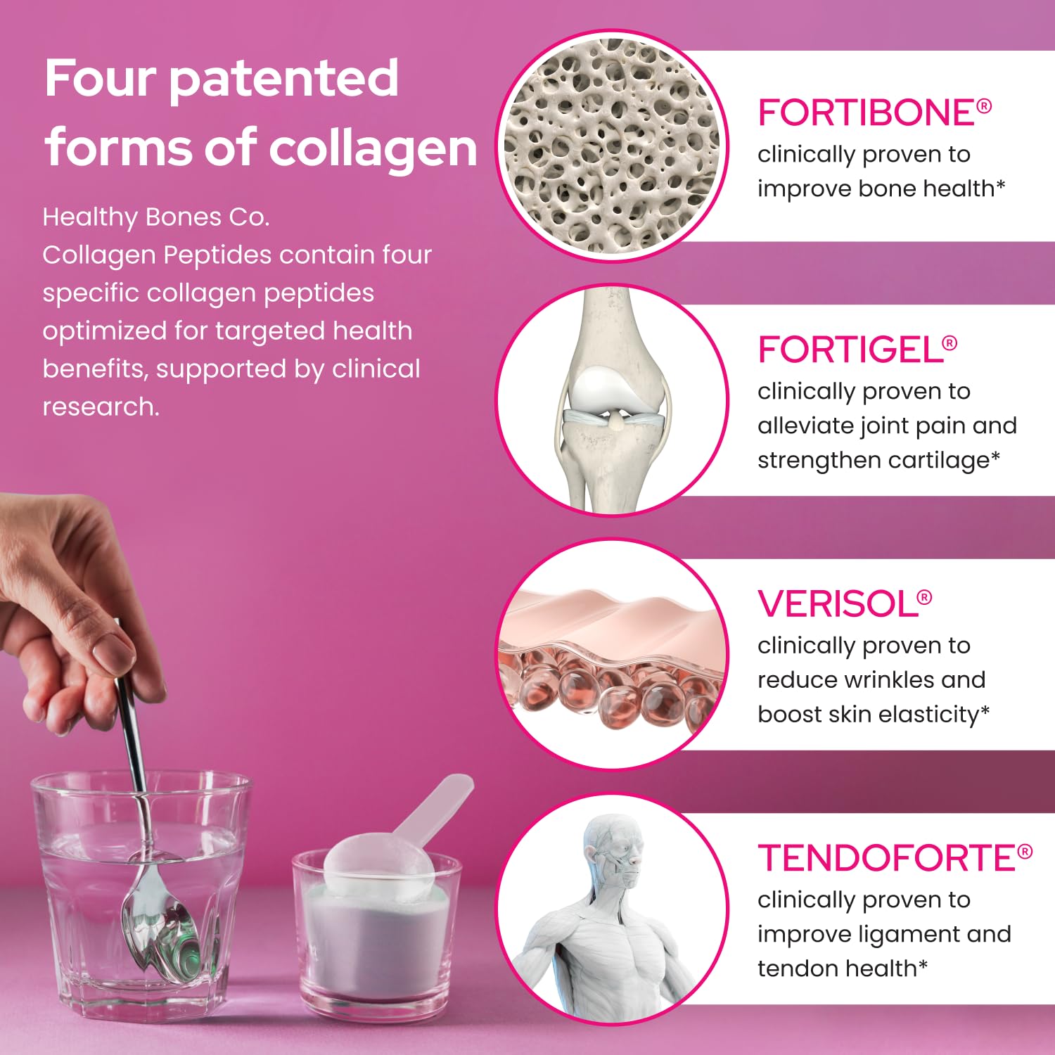 FORTIBONE® Premium Bone Health Collagen Peptides w/FORTIGEL®, VERISOL®, TENDOFORTE® | Clinically-Supported for Bones Joints Skin Hair Nails | Hydrolyzed Collagen Anti-Aging Formula | 30 Servings