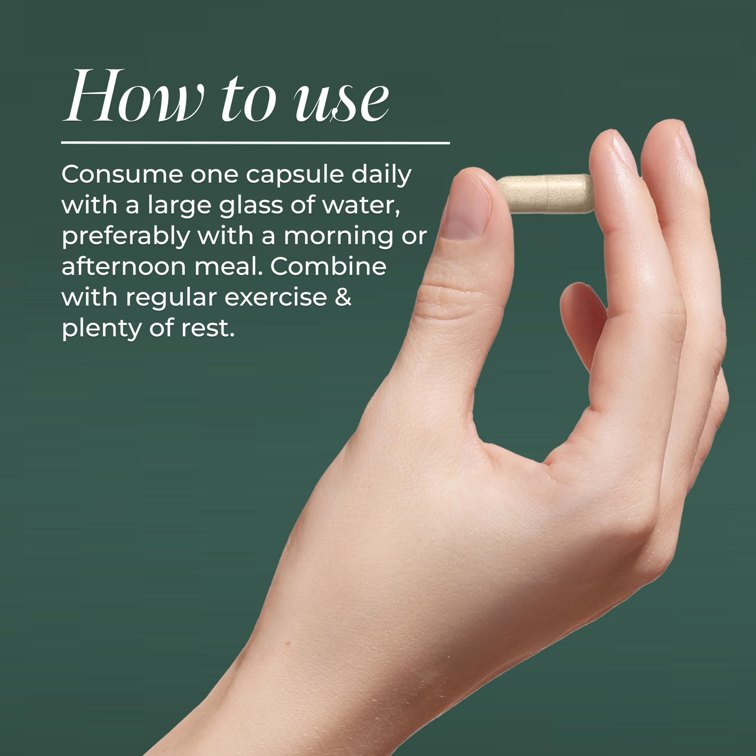 Primal Harvest Probiotics for Women and Men Shelf-Stable with Prebiotics Daily Supplement for Adults 60 Capsules (2 Pack)