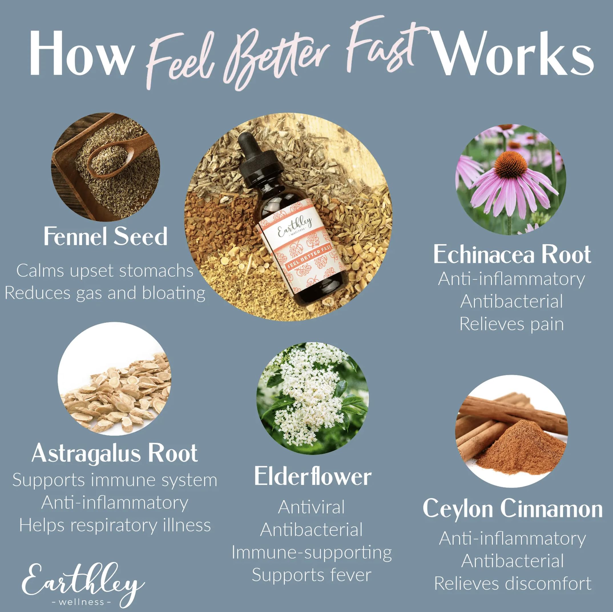 Earthley Wellness Feel Better Fast, All-Natural Relief for Minor Ailments, Organic Herbal Formula, Supports Immune & Digestive Health, Echinacea Root and More, 6 Month Supply (1.69oz Glass, 500 doses)
