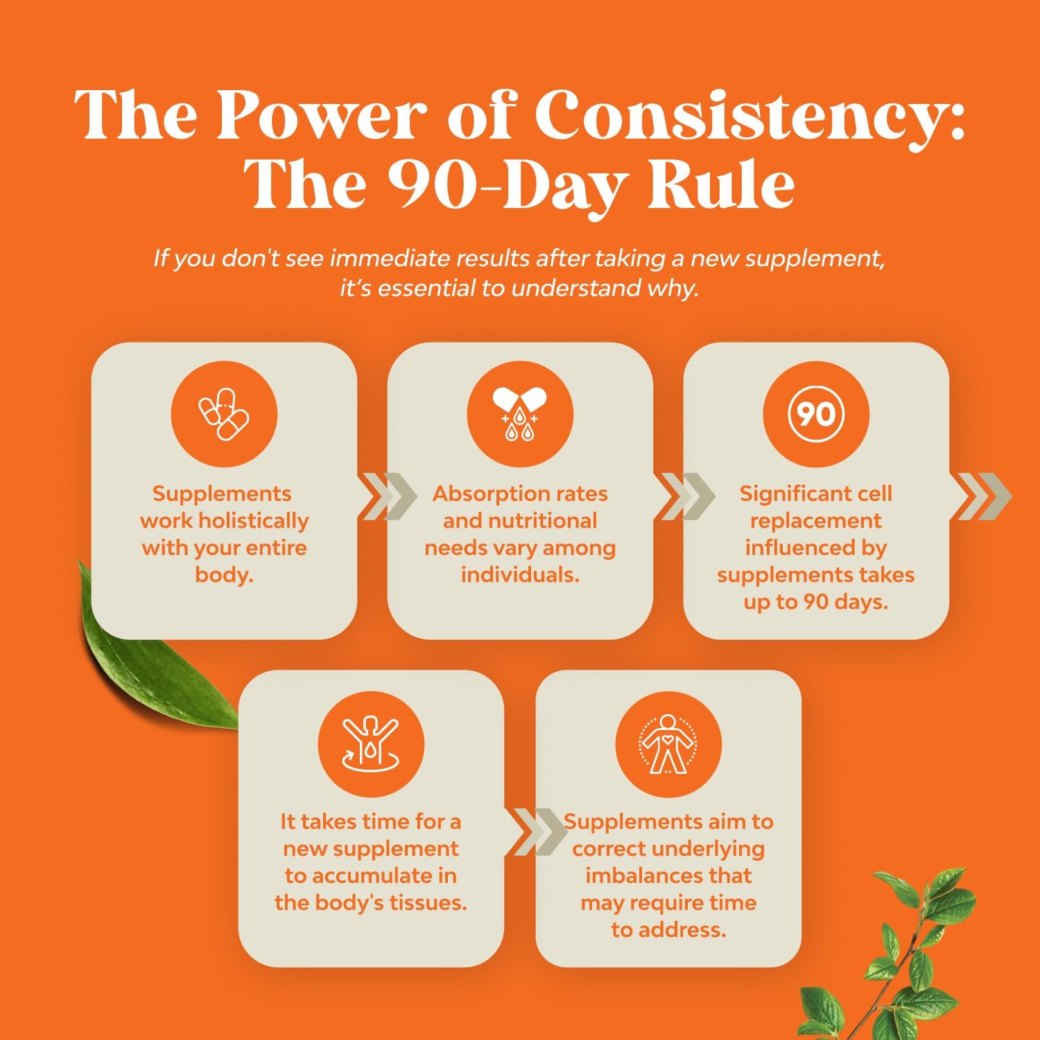 Potent Daily Multivitamin Gummies for Adults - Wellness Blend of Vitamin D A C E B12 Zinc and Biotin - Adult Vitamin Gummy for Energy and Immune Health - Non-GMO Gluten Free and Halal - 180 Count