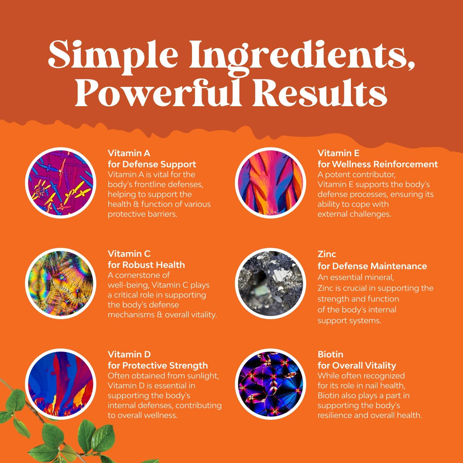 Potent Daily Multivitamin Gummies for Adults - Wellness Blend of Vitamin D A C E B12 Zinc and Biotin - Adult Vitamin Gummy for Energy and Immune Health - Non-GMO Gluten Free and Halal - 180 Count