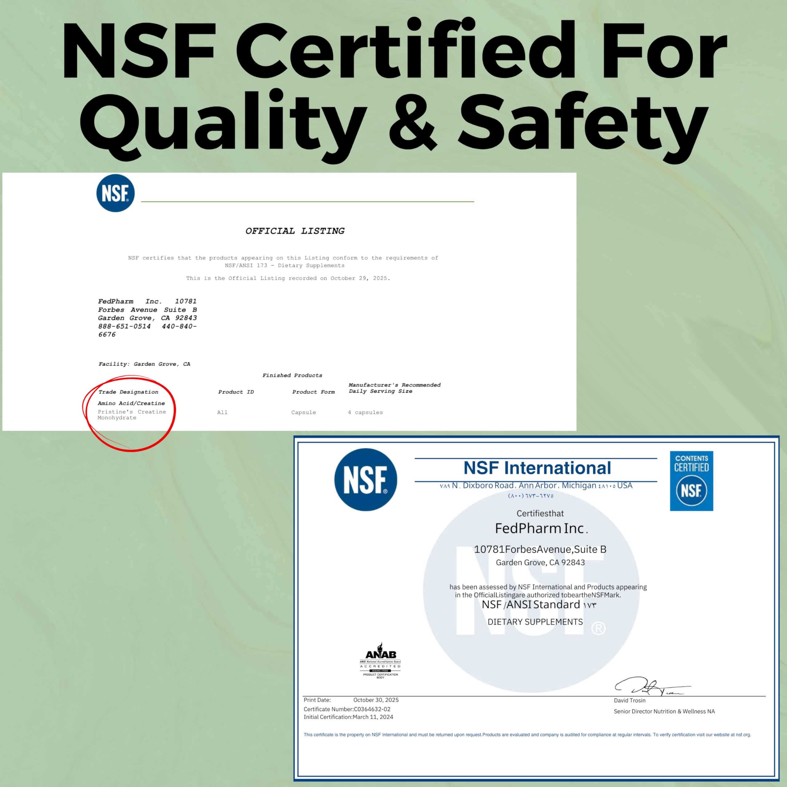 PRISTINE'S Creatine Monohydrate Capsules for Women & Men - NSF Certified 75 Day Supply 3G Muscle Growth Support Supplement - Cognitive & Athletic Performance Support - Enhanced Recovery