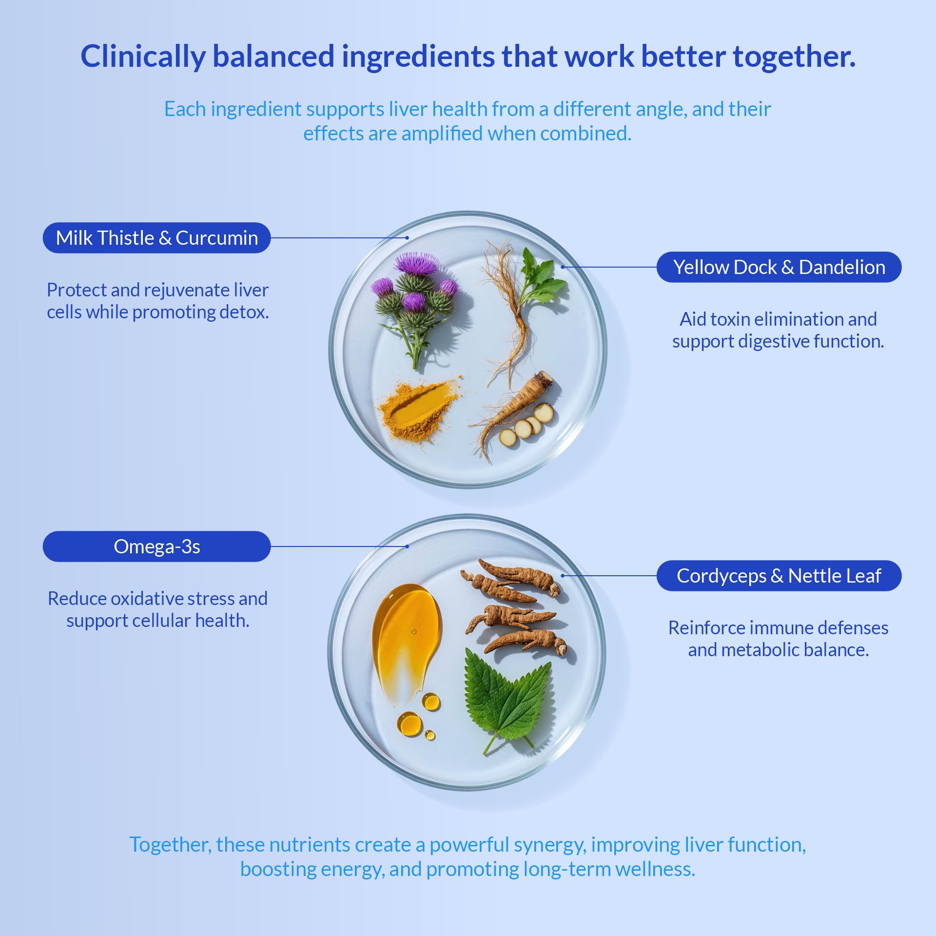 Milk Thistle for Dogs - 90 Soft Chews - Liver and Kidney Support - Hepatic Support with EPA & DHA - Detox - Liver Supplement for Dogs with Choline and L-Arginine.