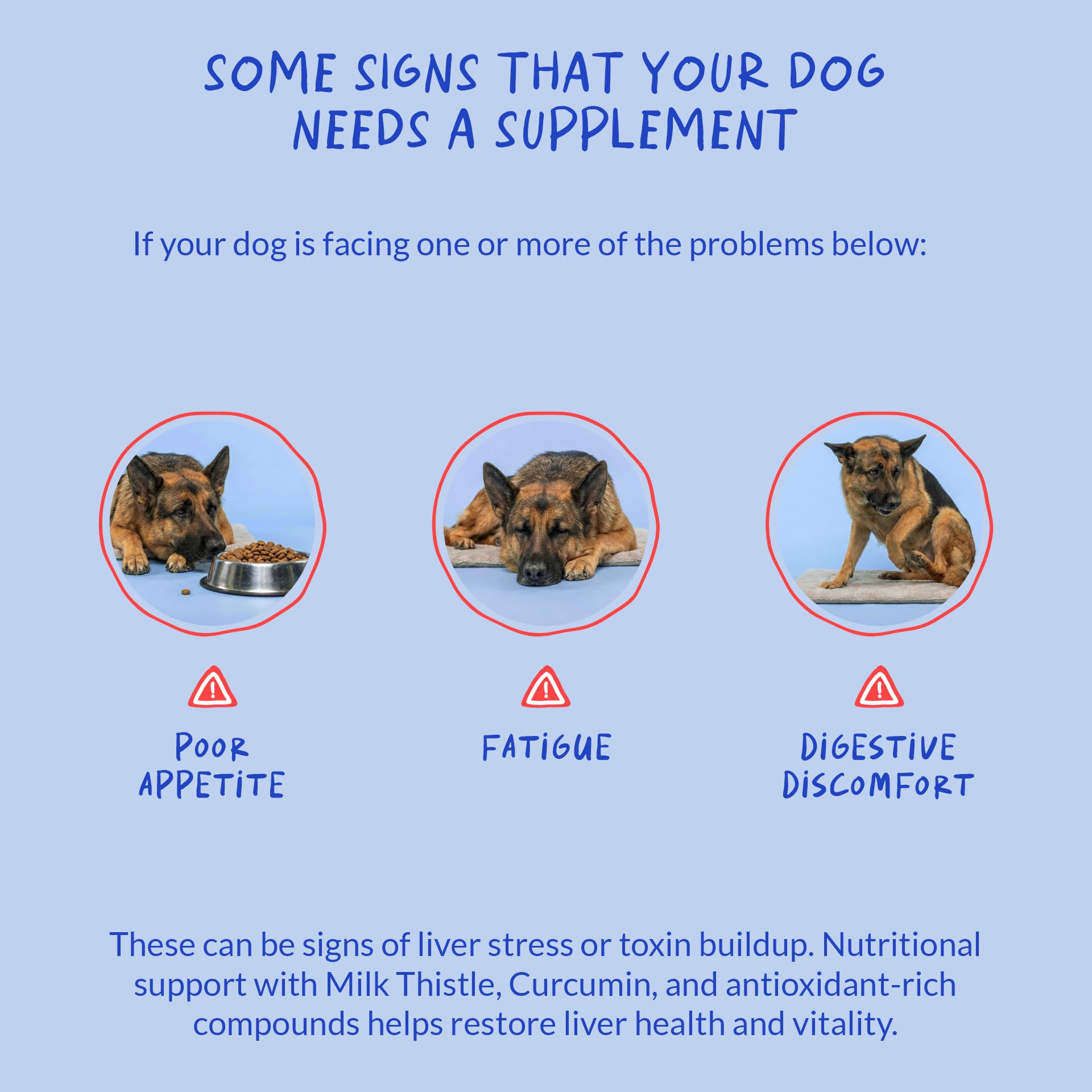 Milk Thistle for Dogs - 90 Soft Chews - Liver and Kidney Support - Hepatic Support with EPA & DHA - Detox - Liver Supplement for Dogs with Choline and L-Arginine.