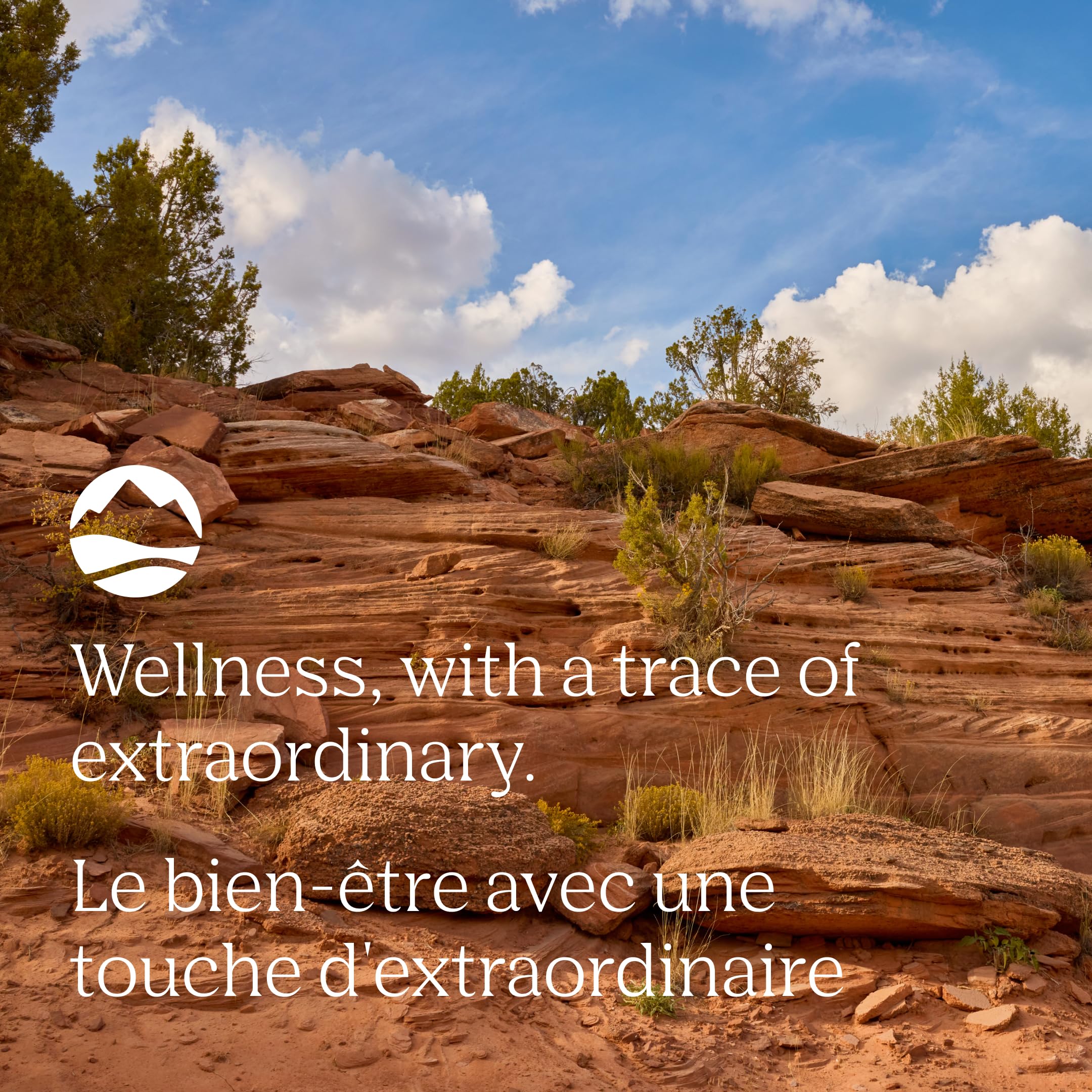 Trace Minerals | Liquid Ionic Vitamin D3 + K2 | 125 mcg (5,000 IU) D3, 100 mcg K2 | Concentrated Dietary Supplement | 2 fl oz. 296 Servings